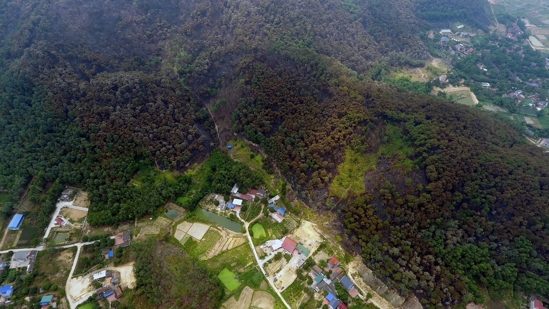 chay rung o Soc Son anh 1