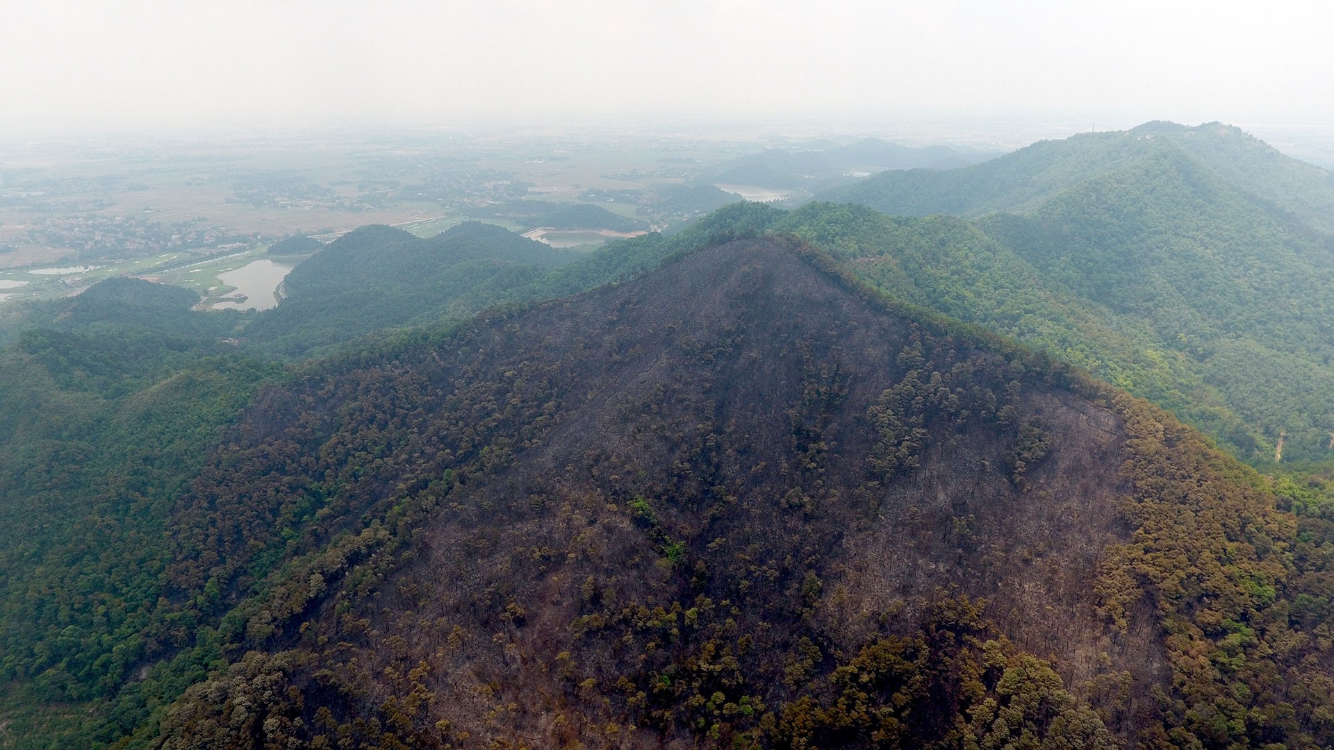 chay rung o Soc Son anh 4