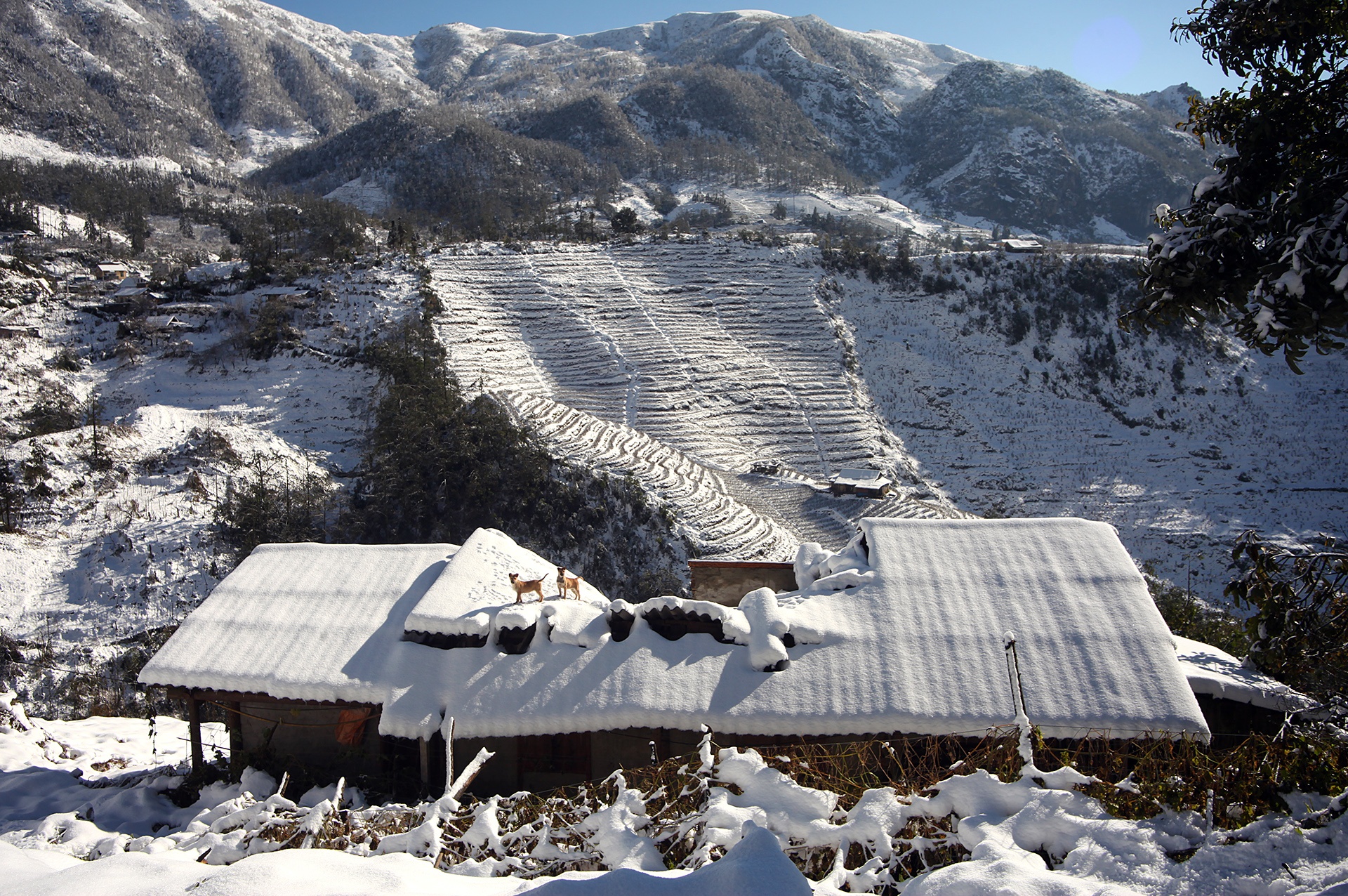 trien lam anh cau lac bo phong vien anh anh 8