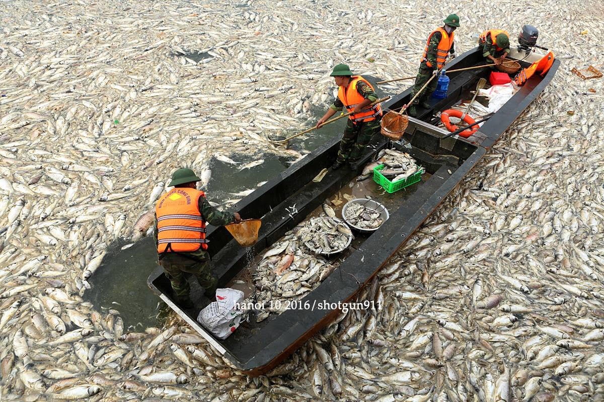 trien lam anh cau lac bo phong vien anh anh 10