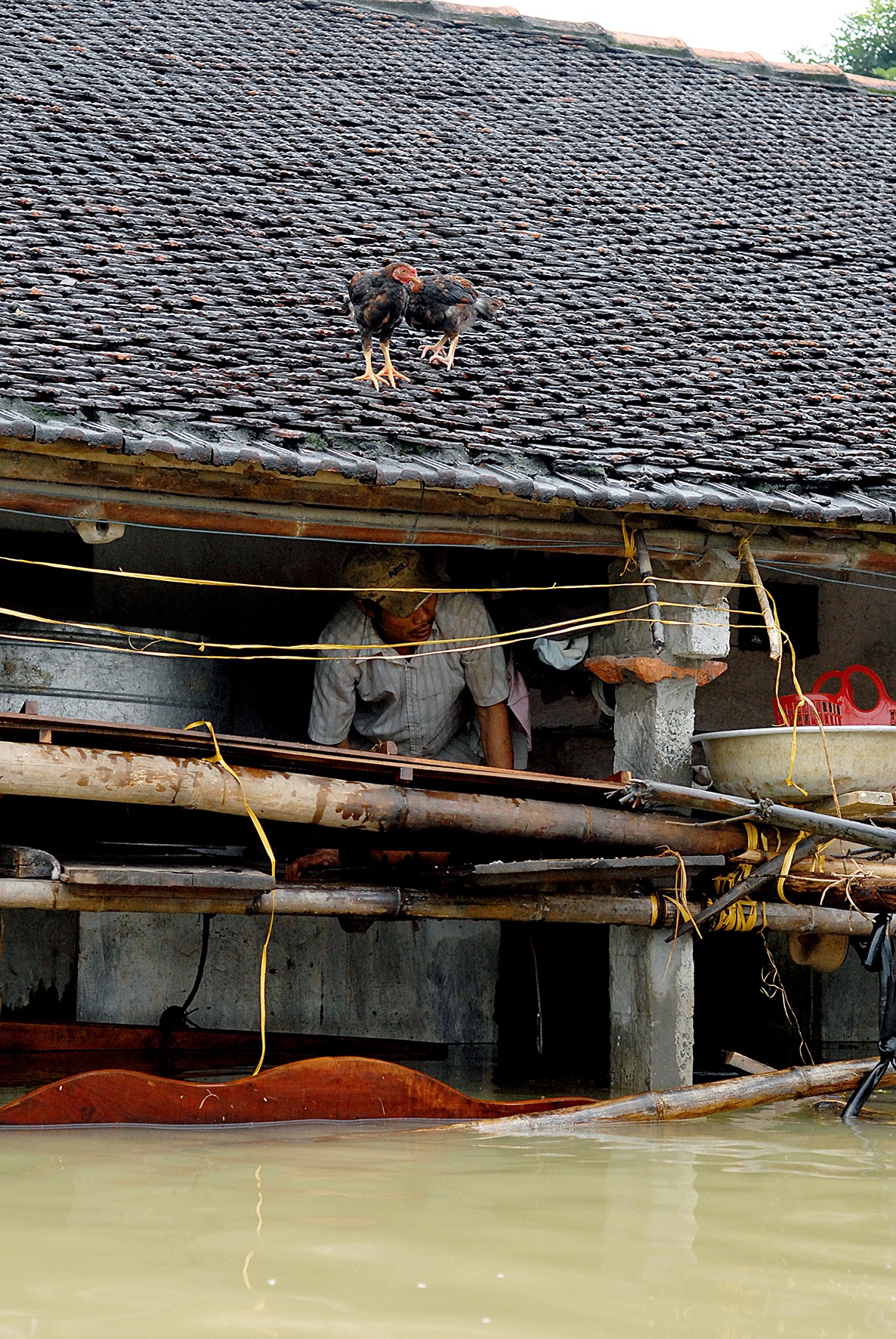 trien lam anh cau lac bo phong vien anh anh 6