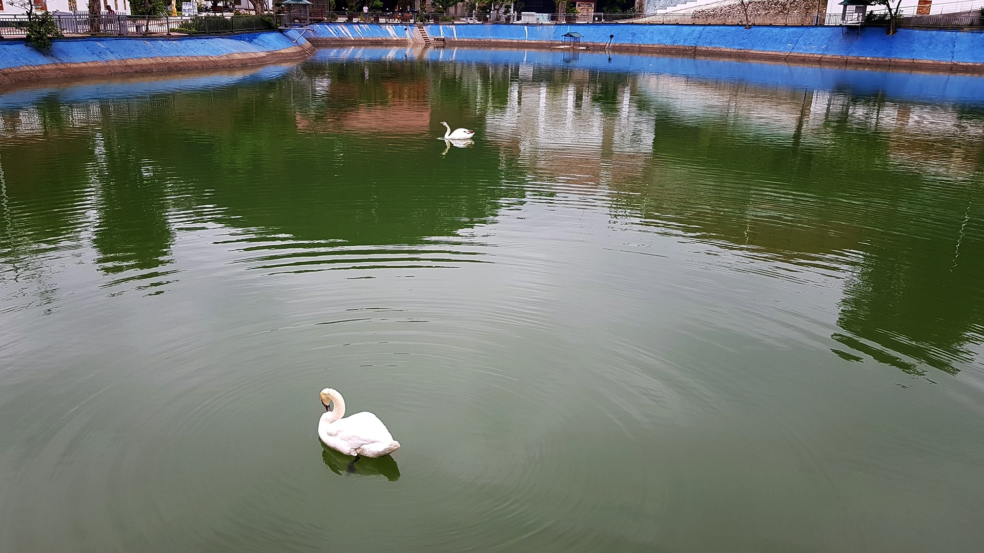 biet phu o Yen Bai anh 5