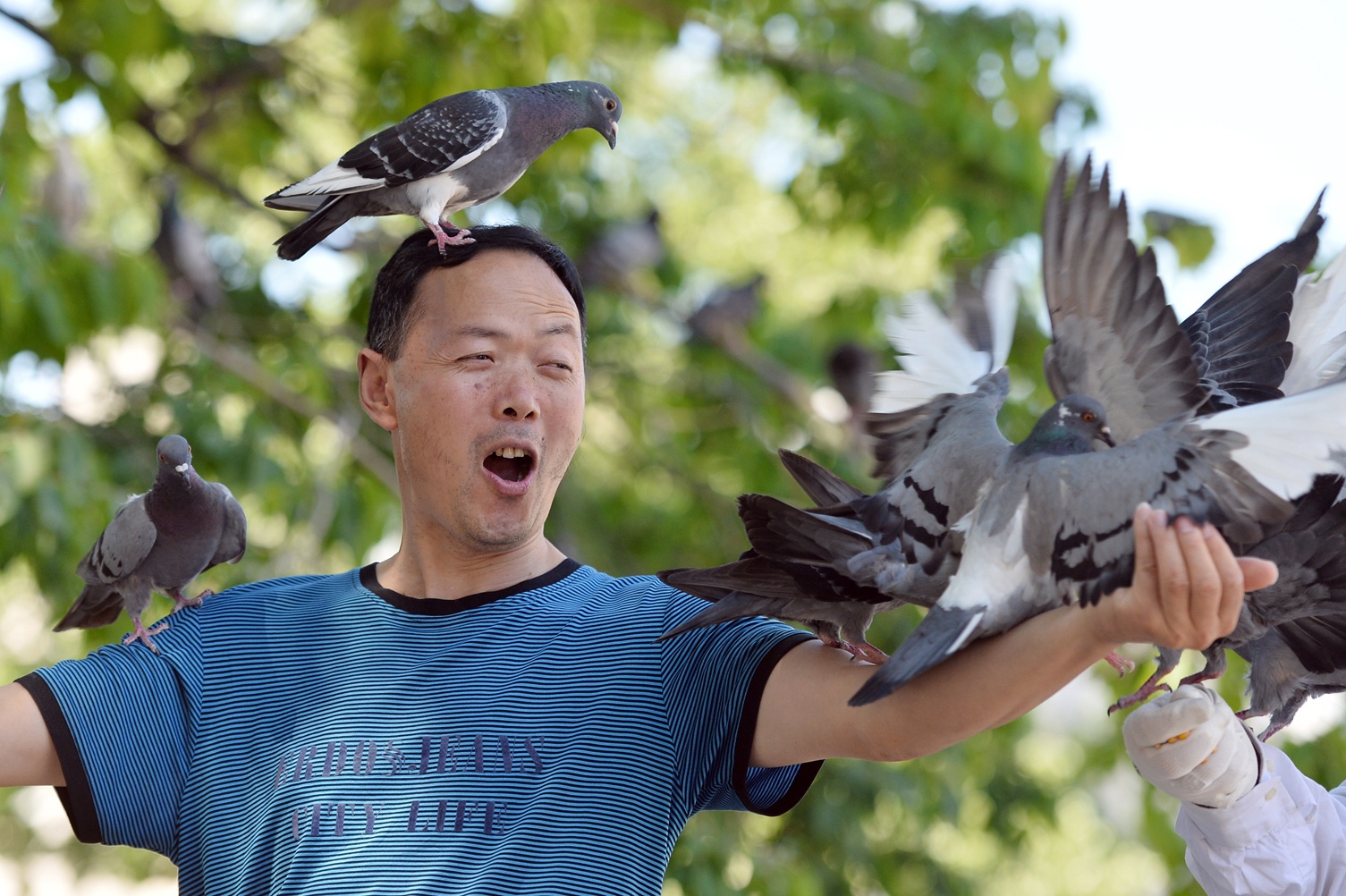 Nam lan duoi thap Eiffel, dua voi chim o nha tho Duc Ba Paris hinh anh