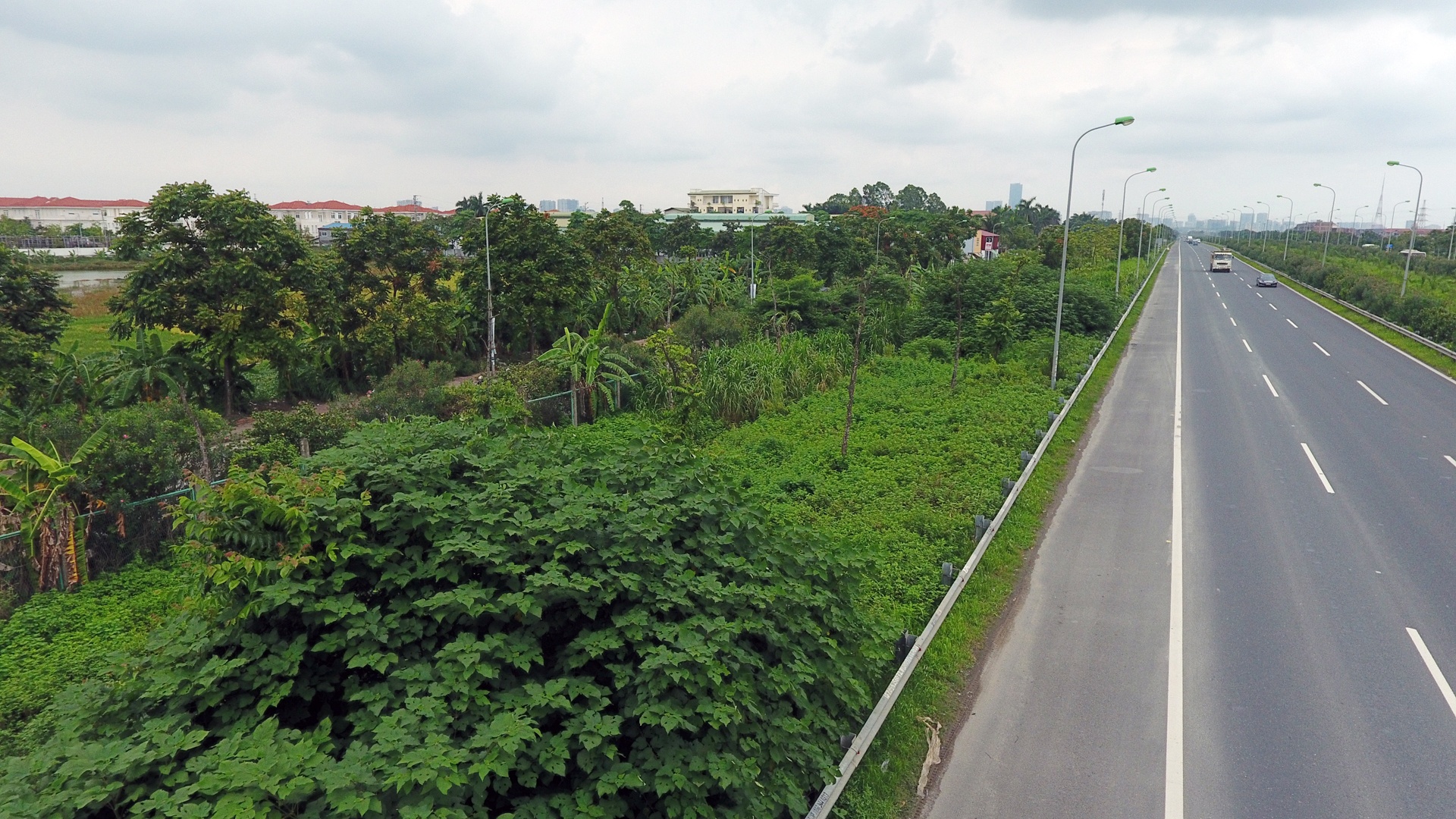 co moc dai lo thang long anh 1