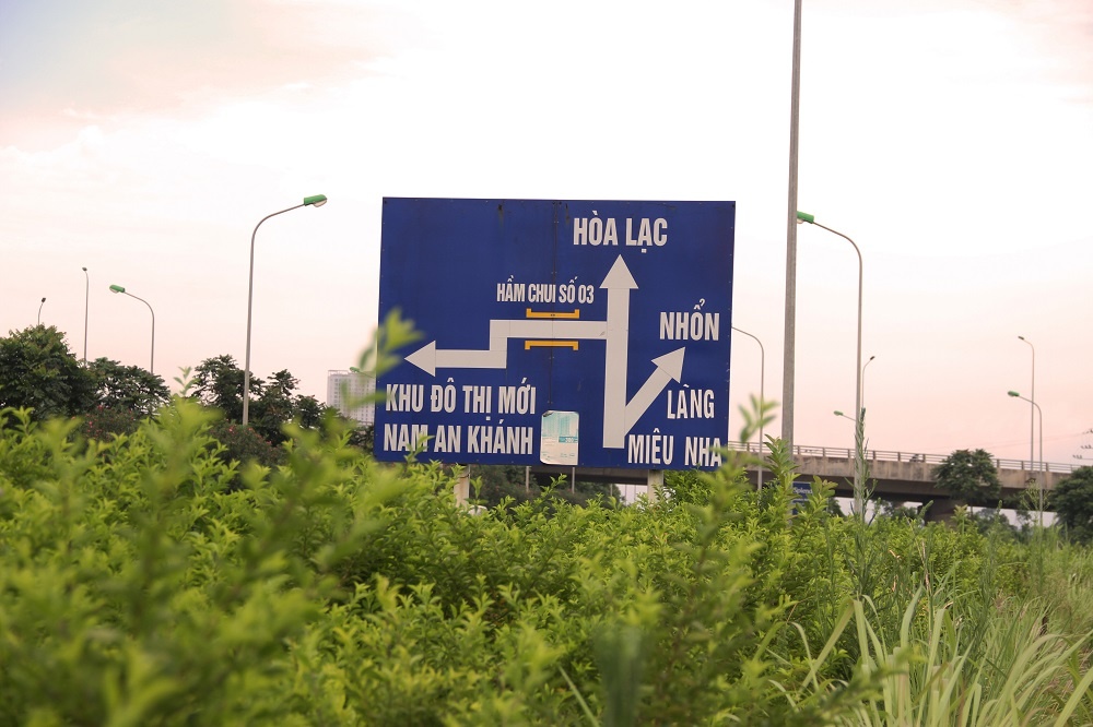 co moc dai lo thang long anh 4