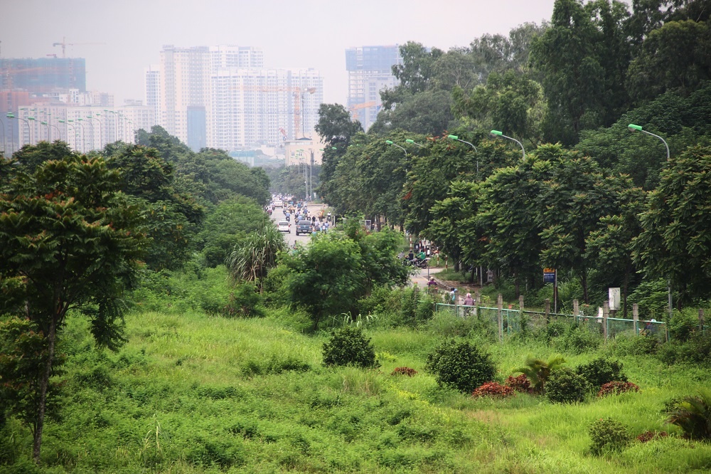 co moc dai lo thang long anh 7