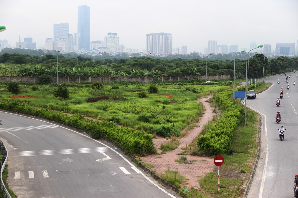 co moc dai lo thang long anh 8