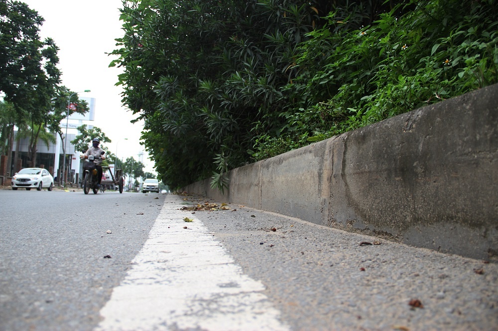 co moc dai lo thang long anh 11