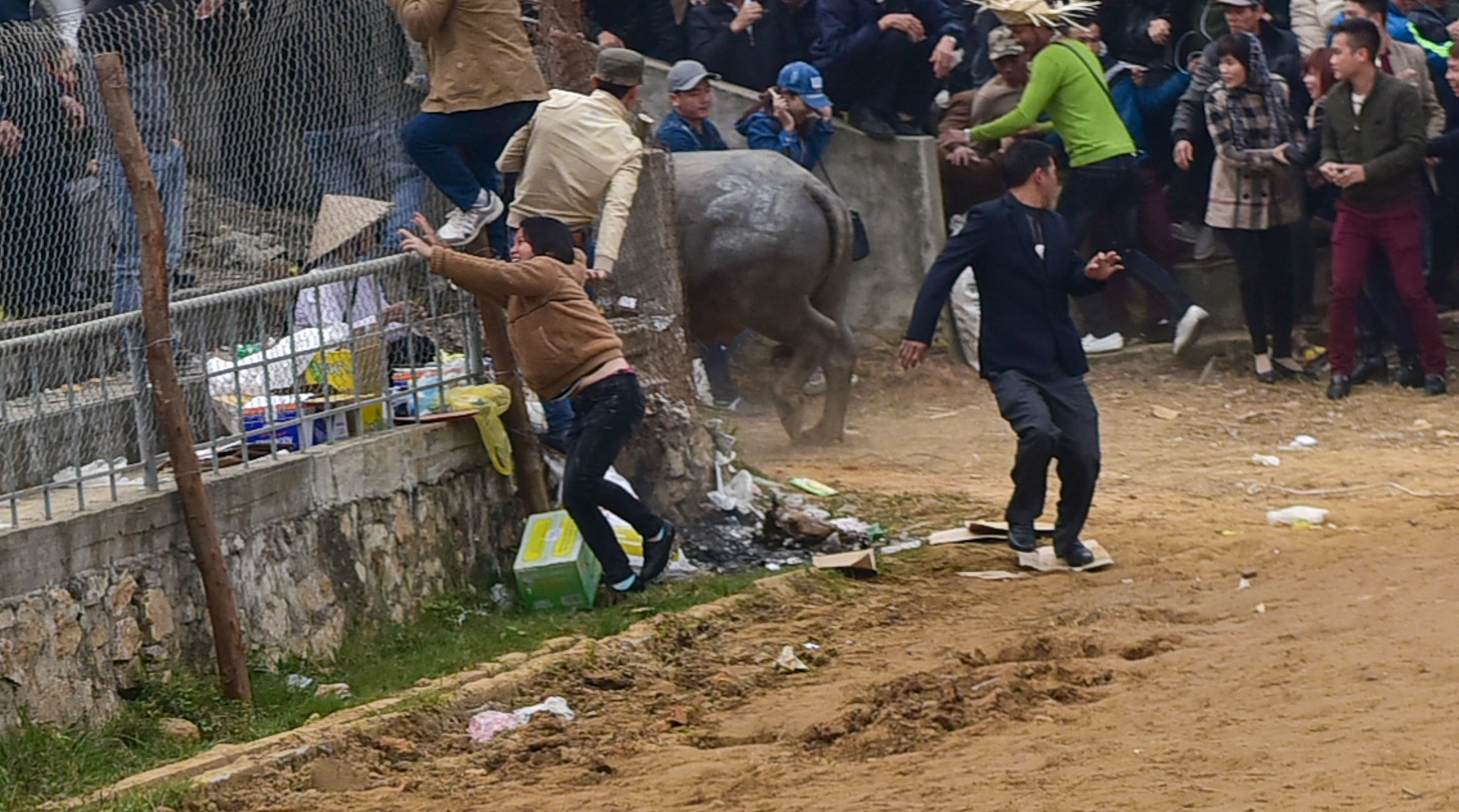 choi trau nguy hiem o mien Bac anh 11