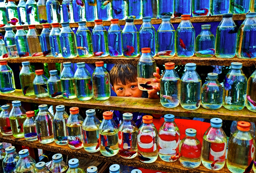 tre em Viet Nam anh 12