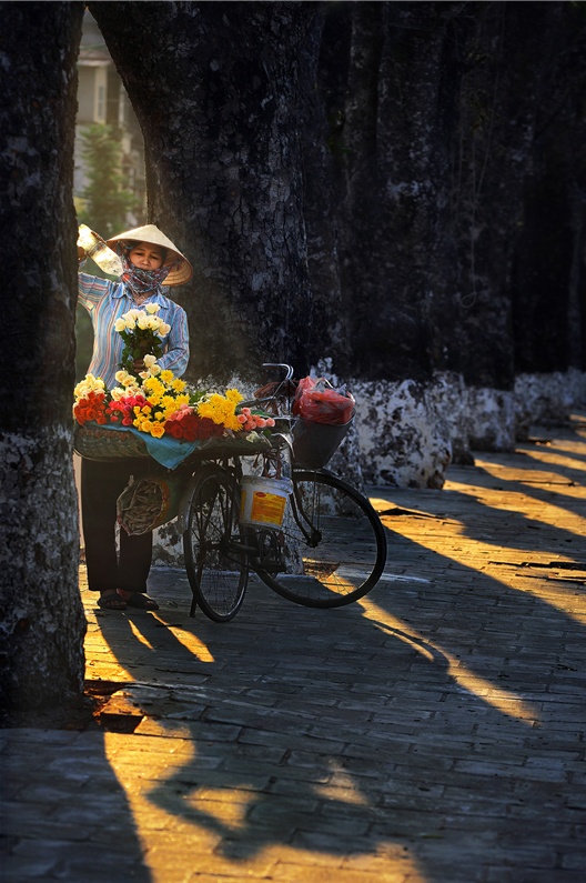 phong canh dep khap mien To quoc anh 5