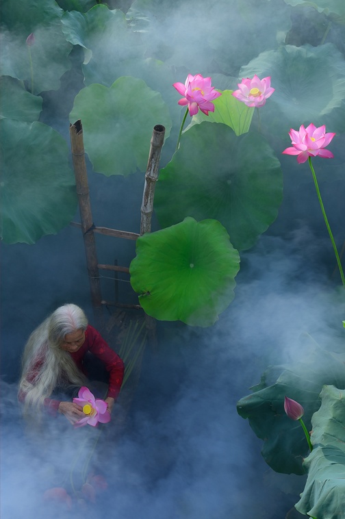 phong canh dep khap mien To quoc anh 11