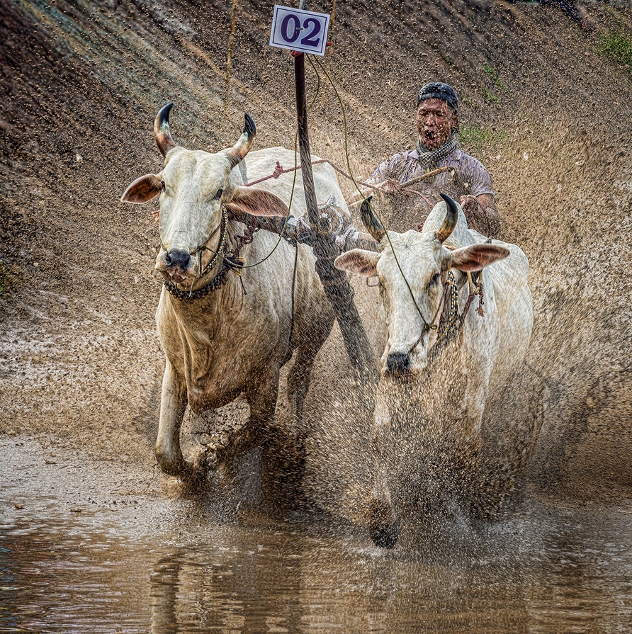 phong canh dep khap mien To quoc anh 14