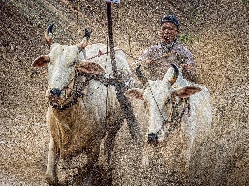 20 khoanh khac tuyet dep tai Festival Nhiep anh tre 2017 hinh anh
