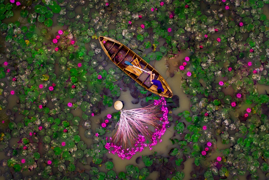 phong canh dep khap mien To quoc anh 18