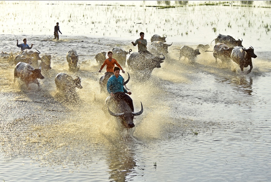phong canh dep khap mien To quoc anh 19