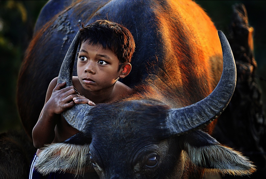 Thieu nhi Viet dep la qua ong kinh nguoi tre hinh anh