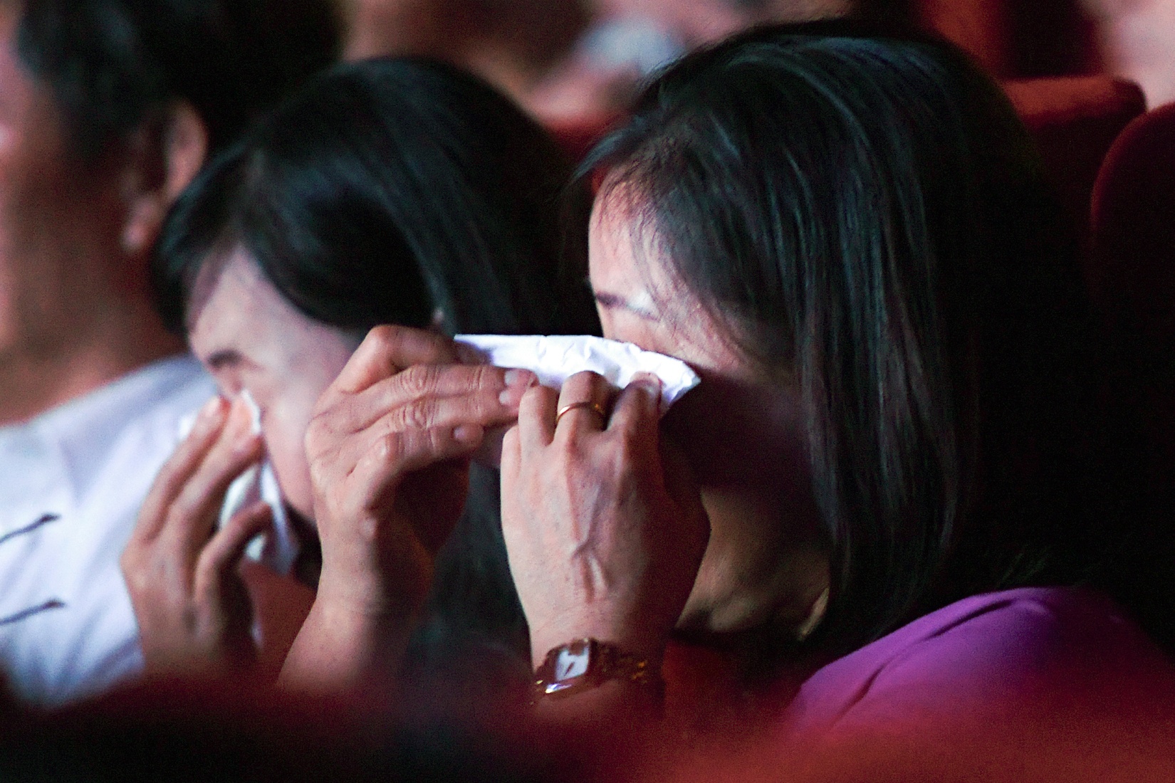 Toan canh le ky niem 70 nam ngay Thuong binh Liet si hinh anh