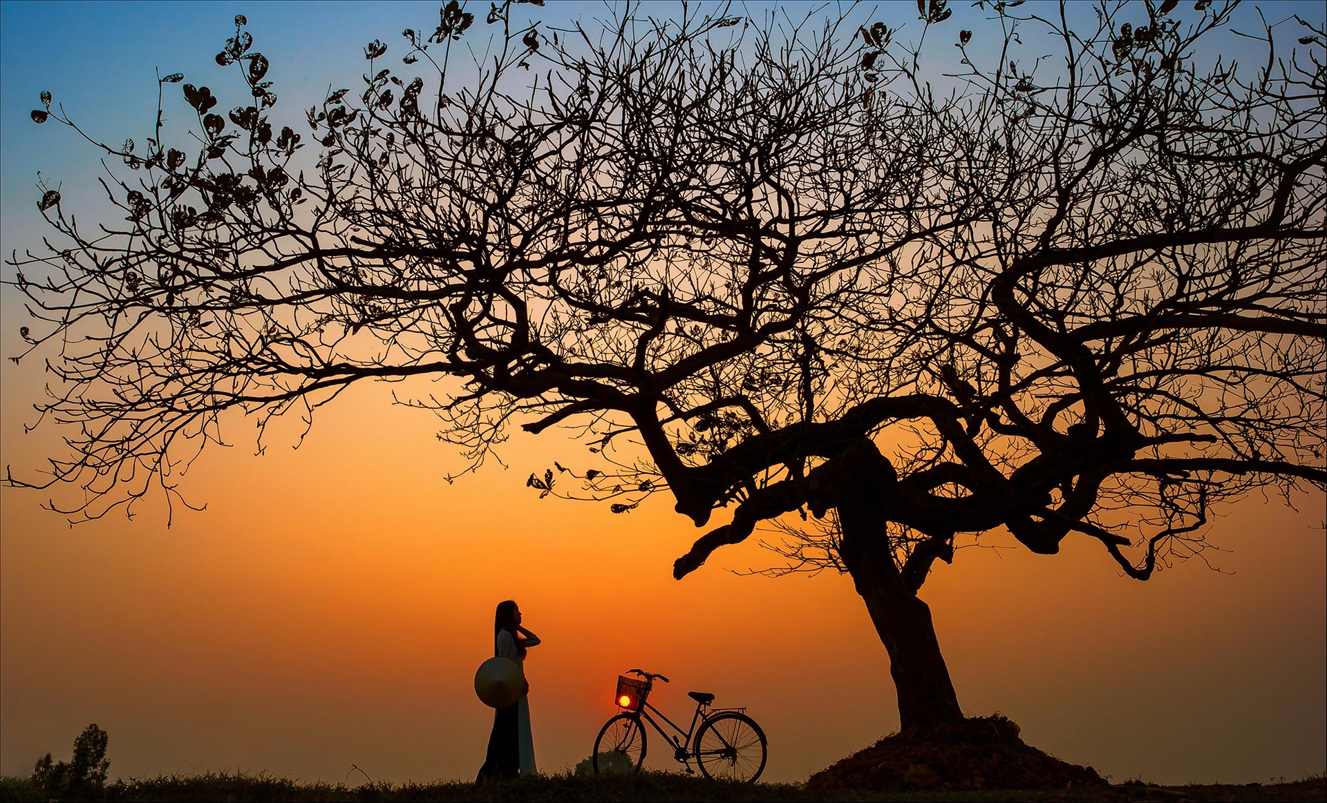 Cuoc thi anh Dau an Viet Nam anh 13