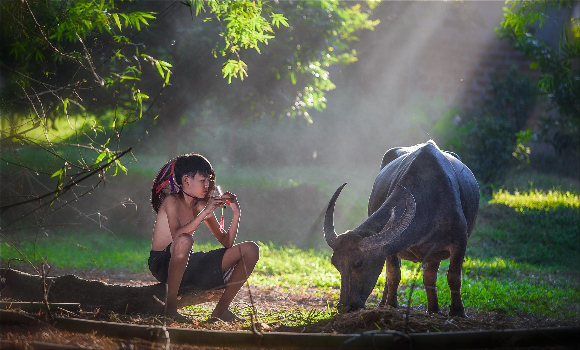 Cuoc thi anh Dau an Viet Nam anh 12