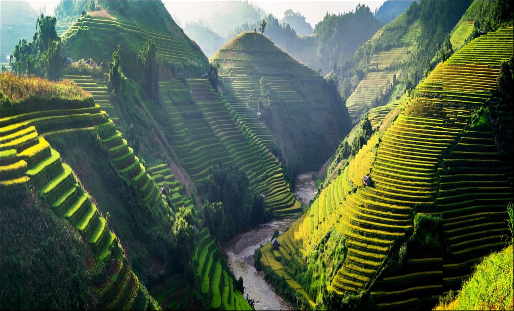 Ruộng bậc thang Tây Bắc ảnh 9 Ruong bac thang Tay Bac anh 9