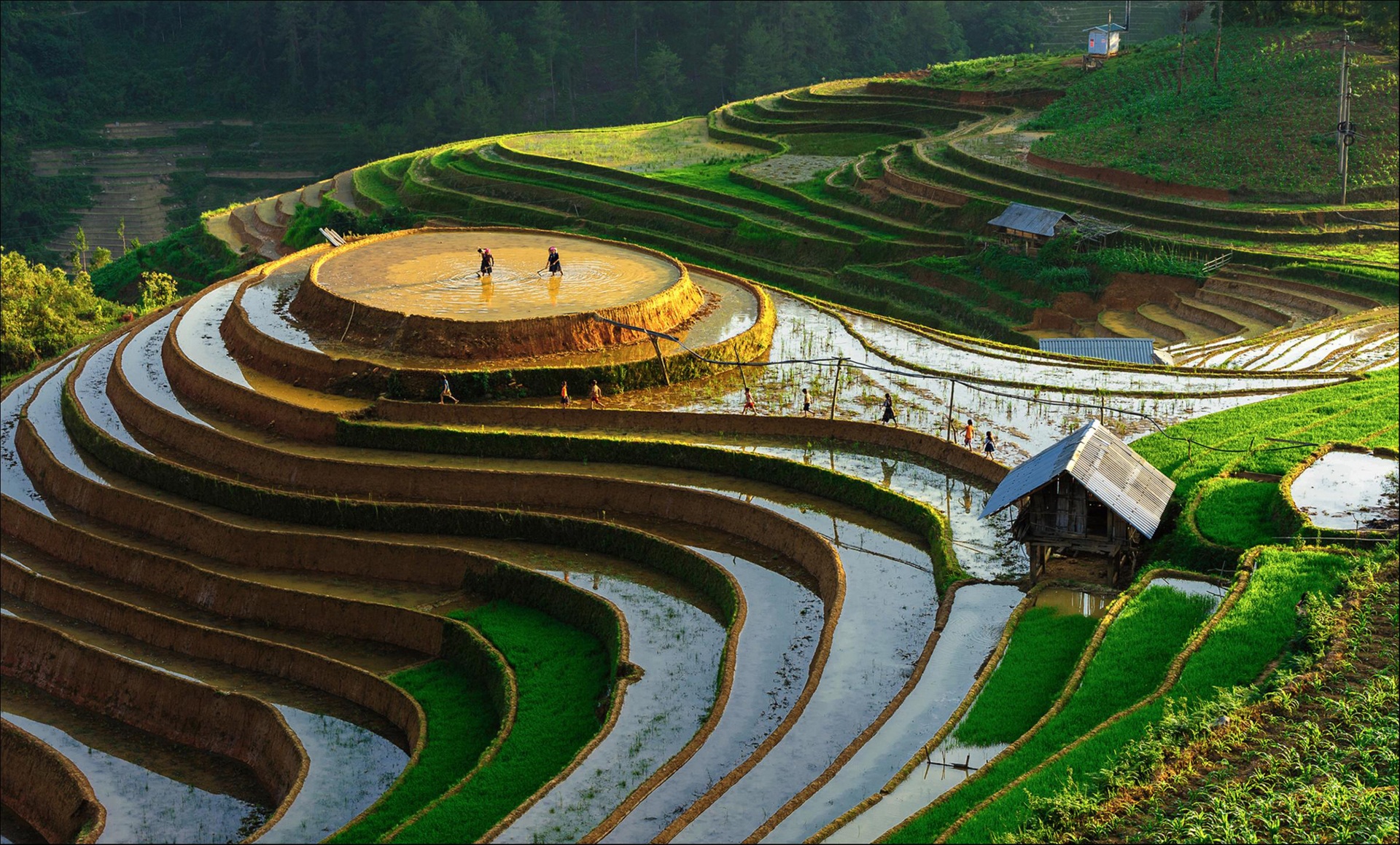 Ruộng bậc thang Tây Bắc ảnh 5 Ruong bac thang Tay Bac anh 5