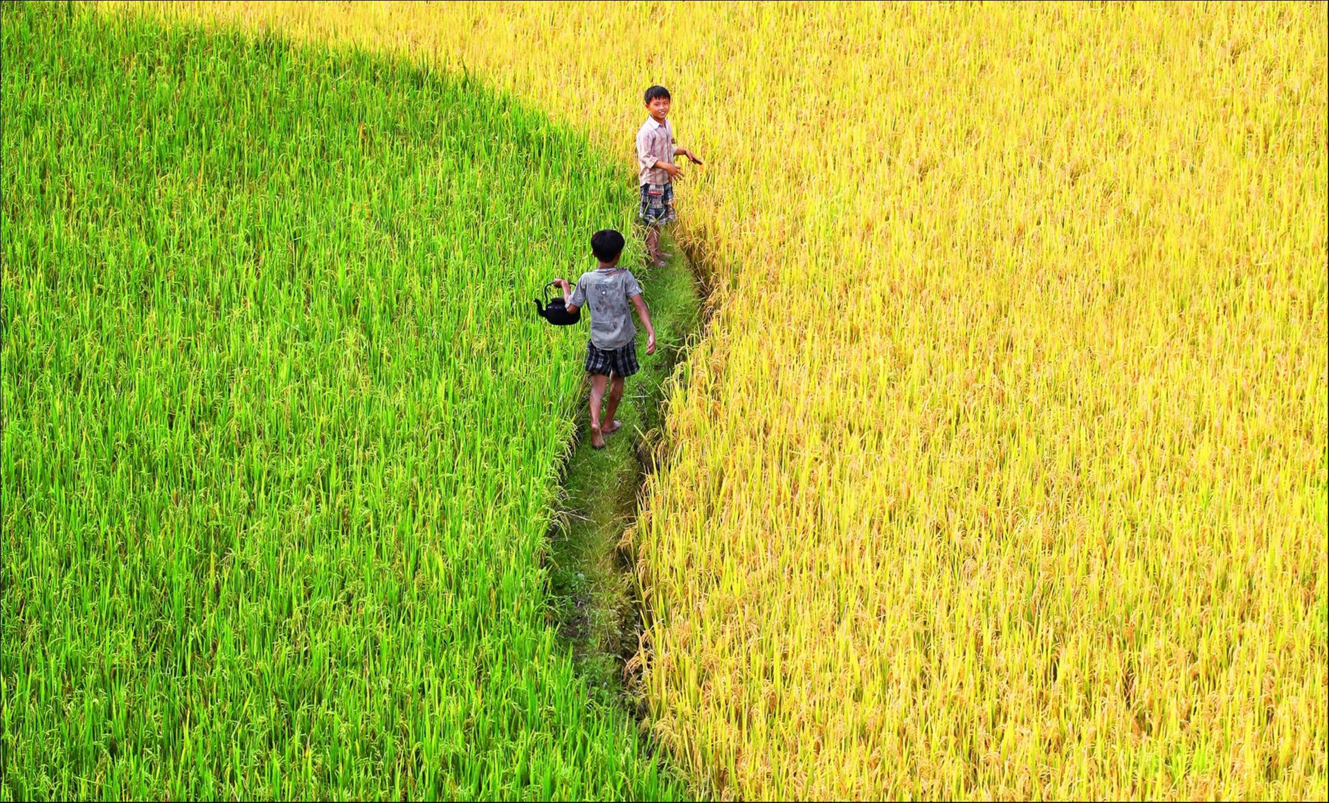 Ruộng bậc thang Tây Bắc ảnh 7 Ruong bac thang Tay Bac anh 7