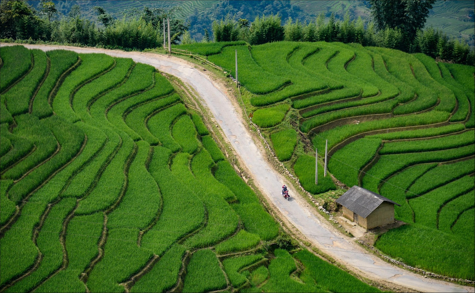 Ruộng bậc thang Tây Bắc ảnh 10 Ruong bac thang Tay Bac anh 10