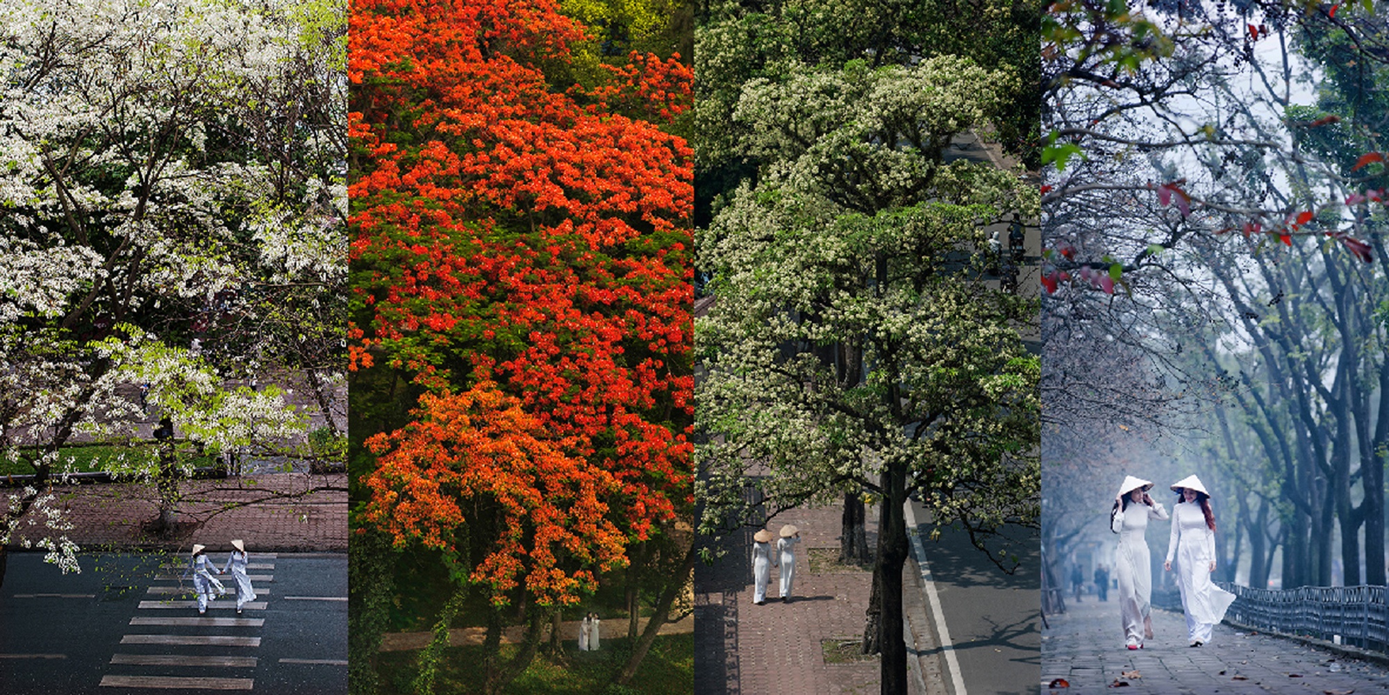 Nhung goc nho tuyet dep cua Ha Noi hinh anh