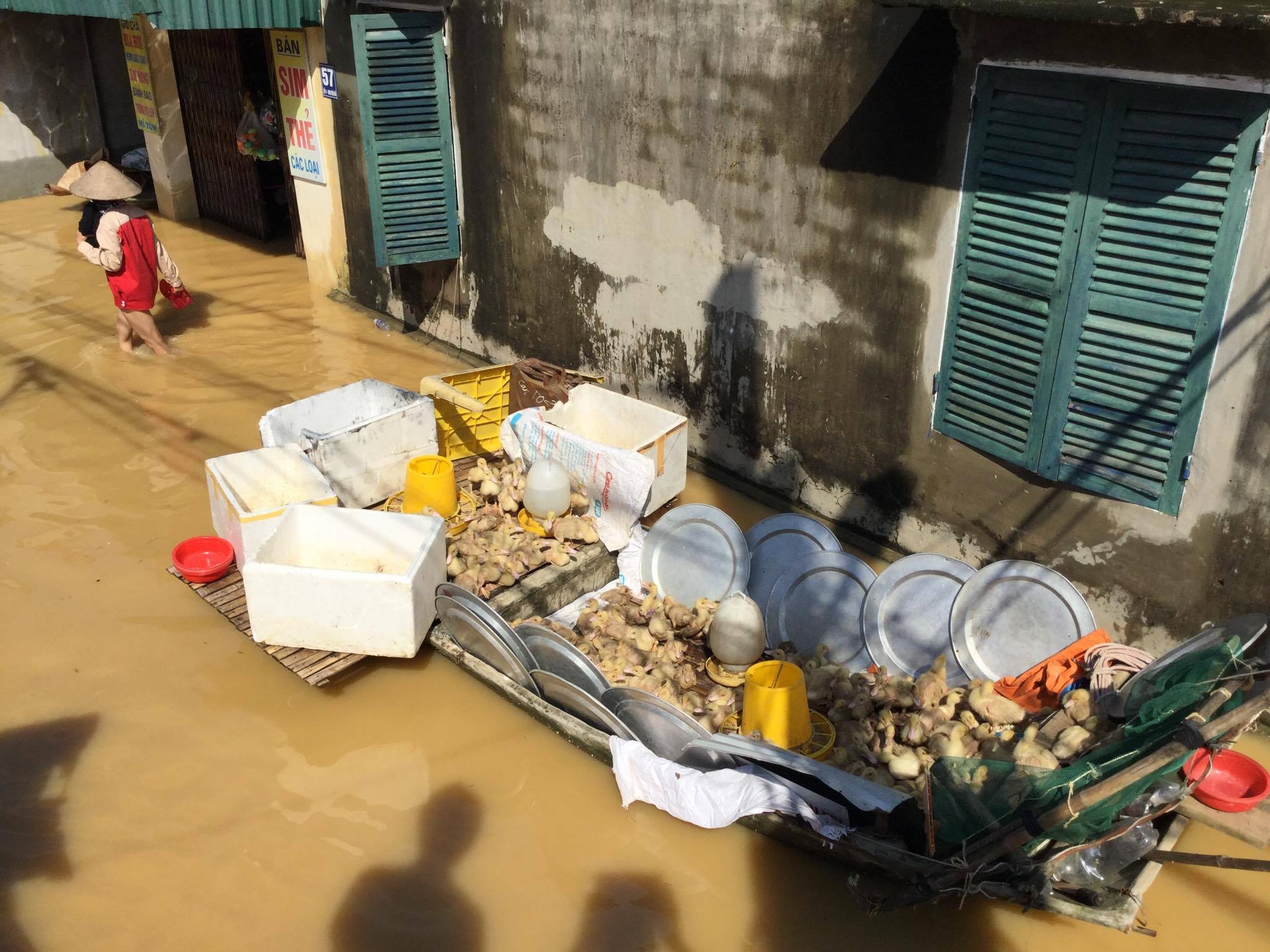 toan Chuong My bi ngap anh 12