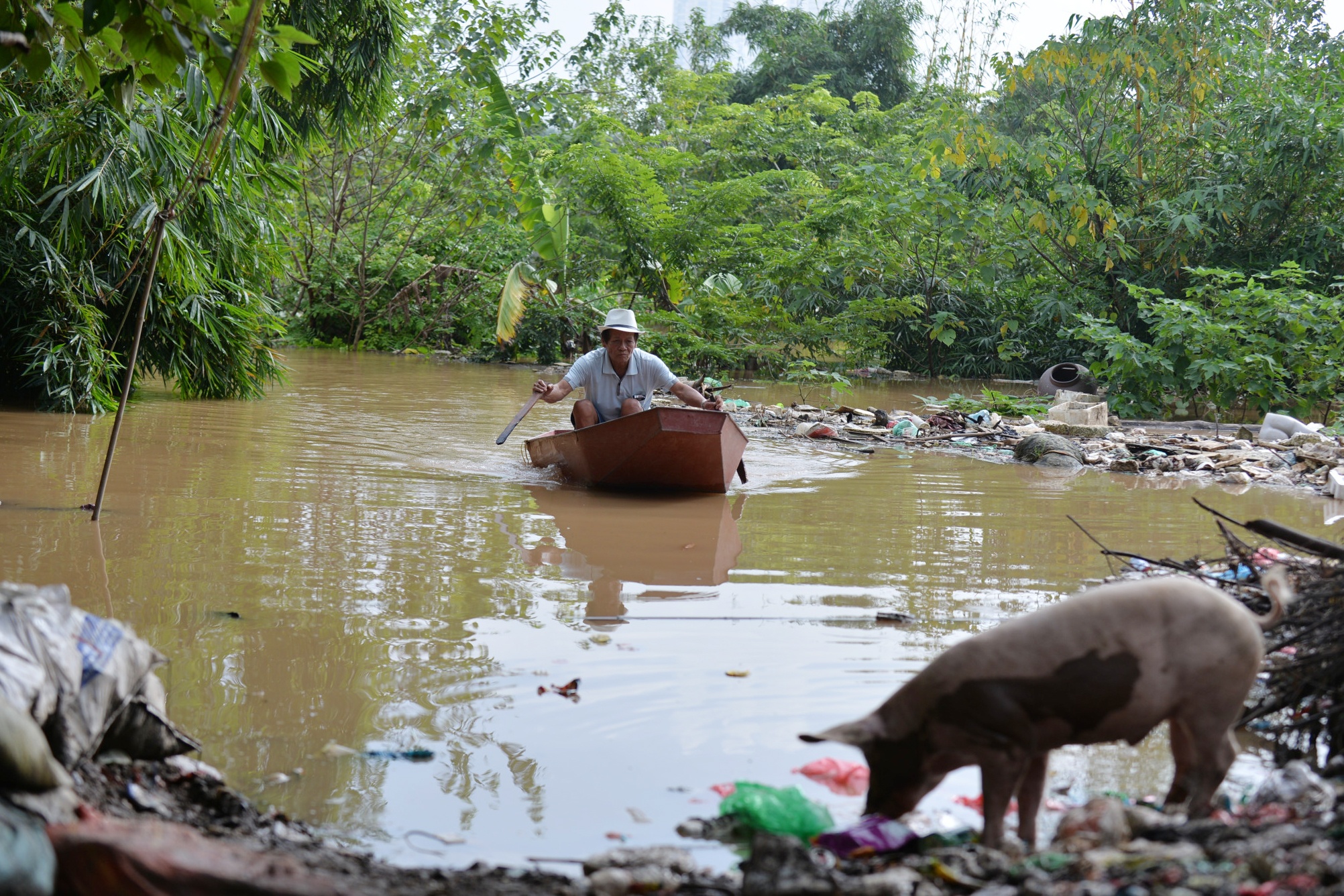 nước tràn về ngập sông Hồng ảnh 11 nuoc tran ve ngap song Hong anh 11