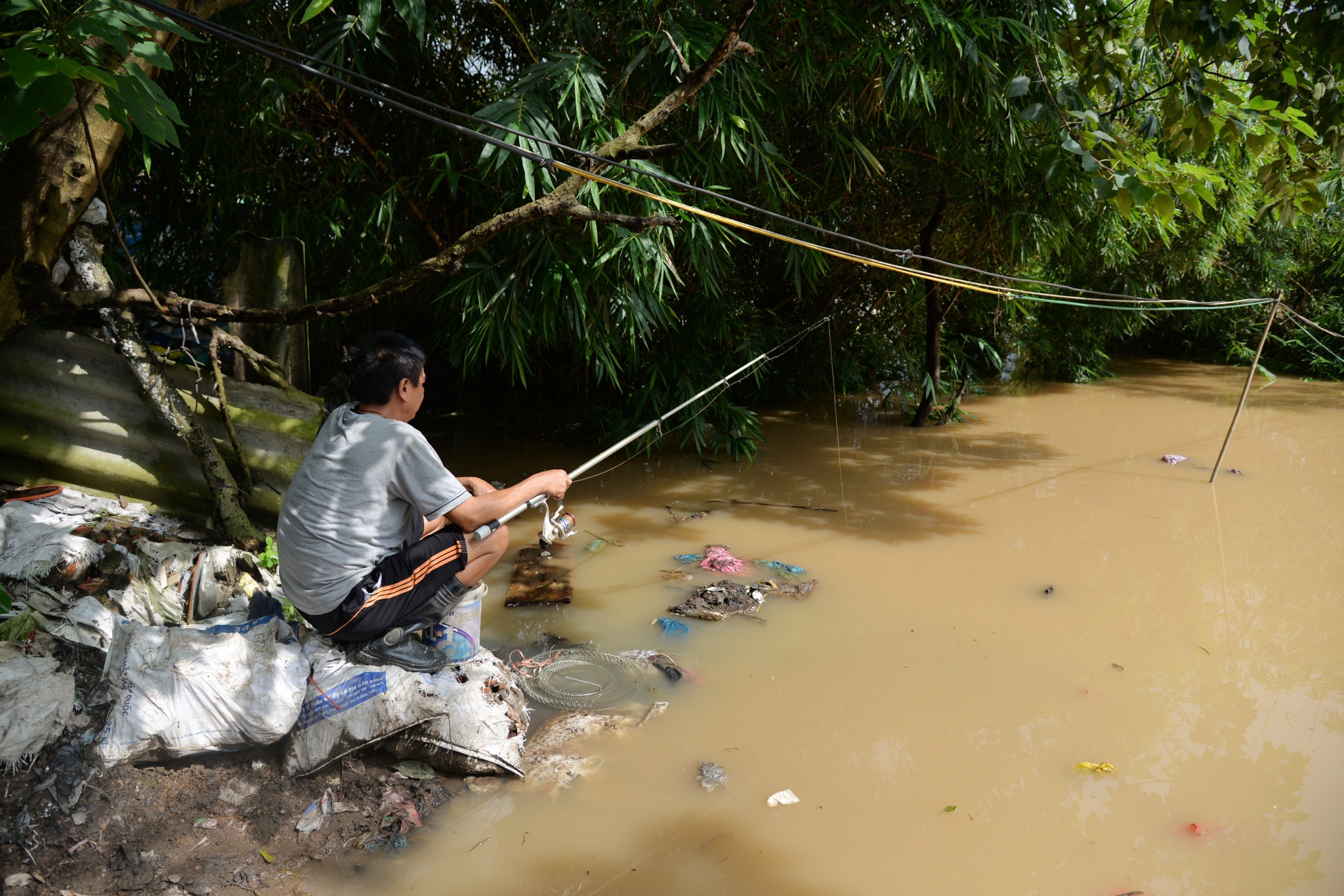 nước tràn về ngập sông Hồng ảnh 12 nuoc tran ve ngap song Hong anh 12