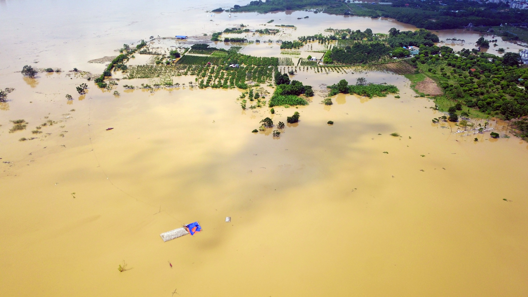 nước tràn về ngập sông Hồng ảnh 2 nuoc tran ve ngap song Hong anh 2