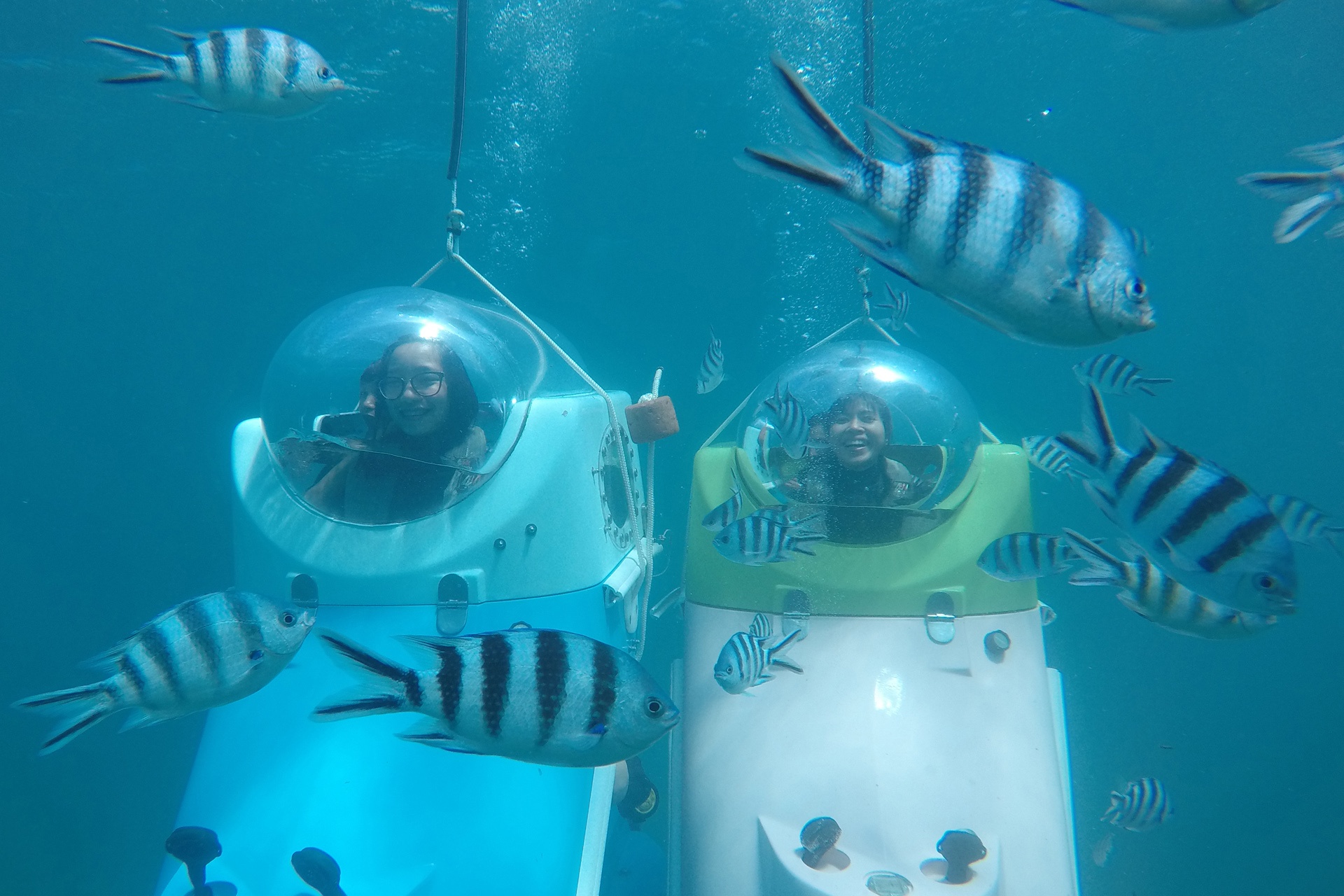 Du lich Mauritius o dau anh 27