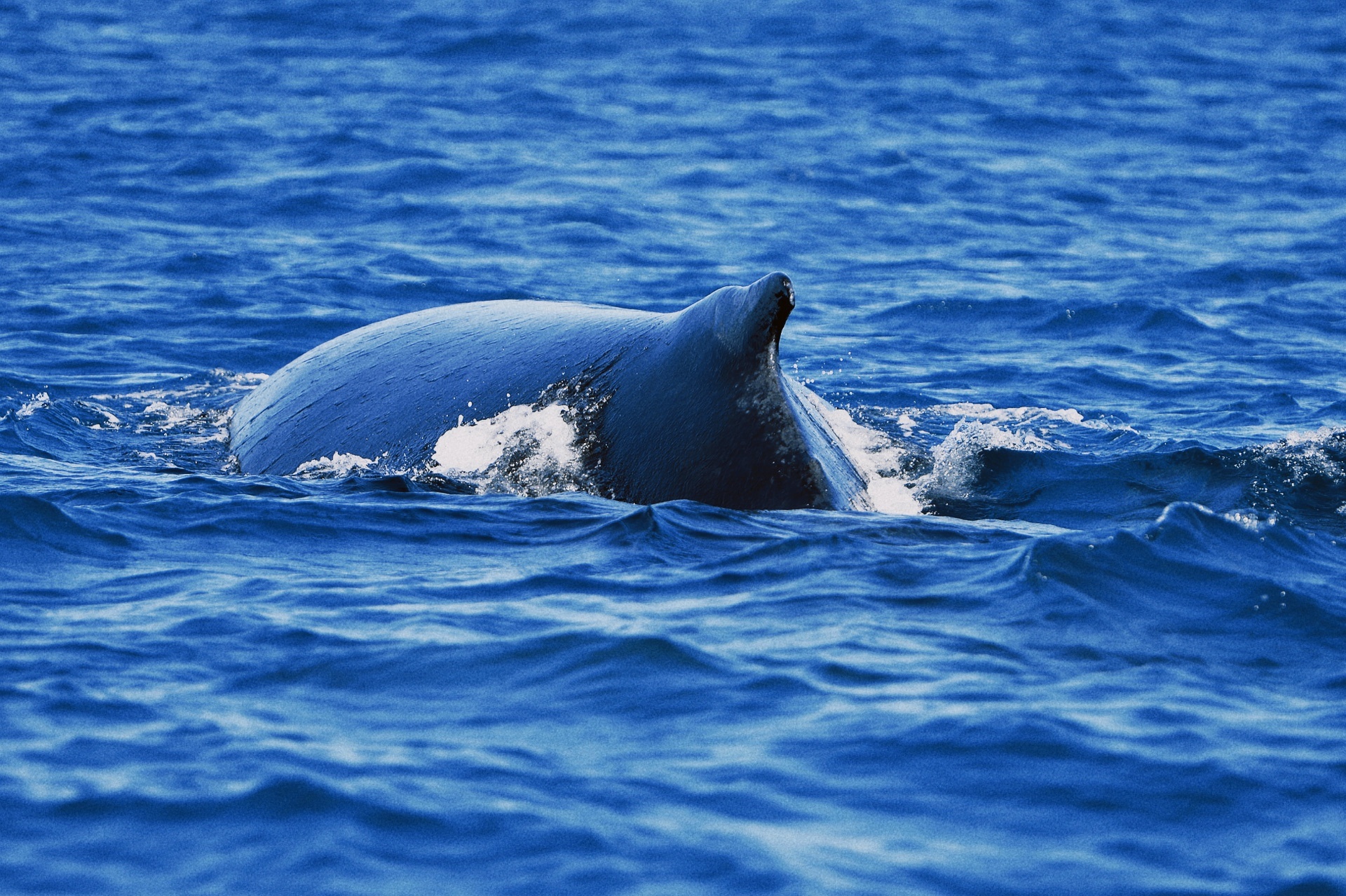 Du lich Mauritius o dau anh 21