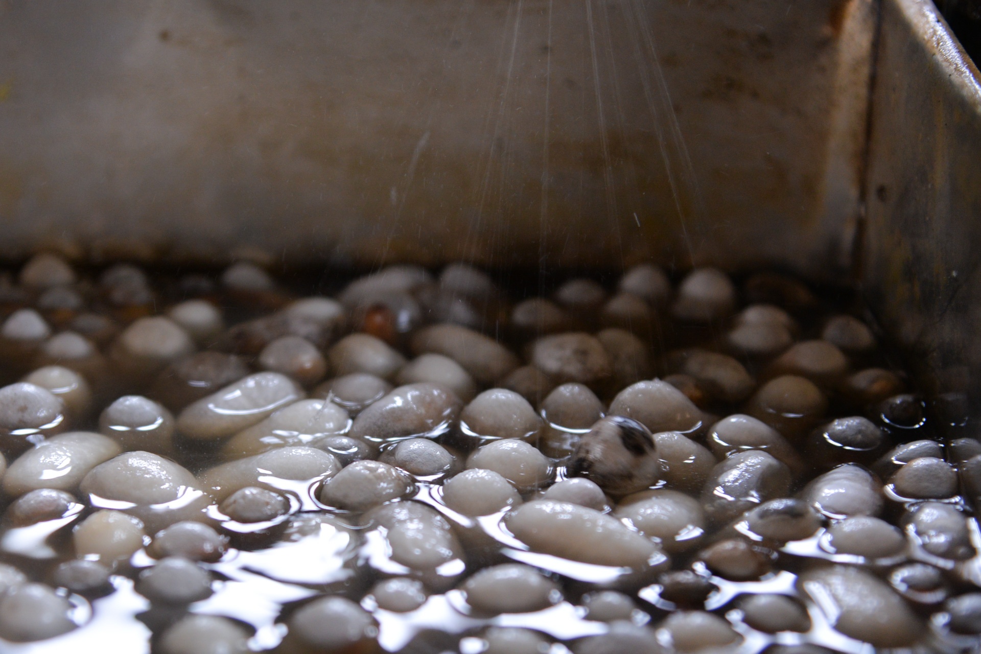 làng lụa Nha Xá ảnh 5 lang lua Nha Xa anh 5