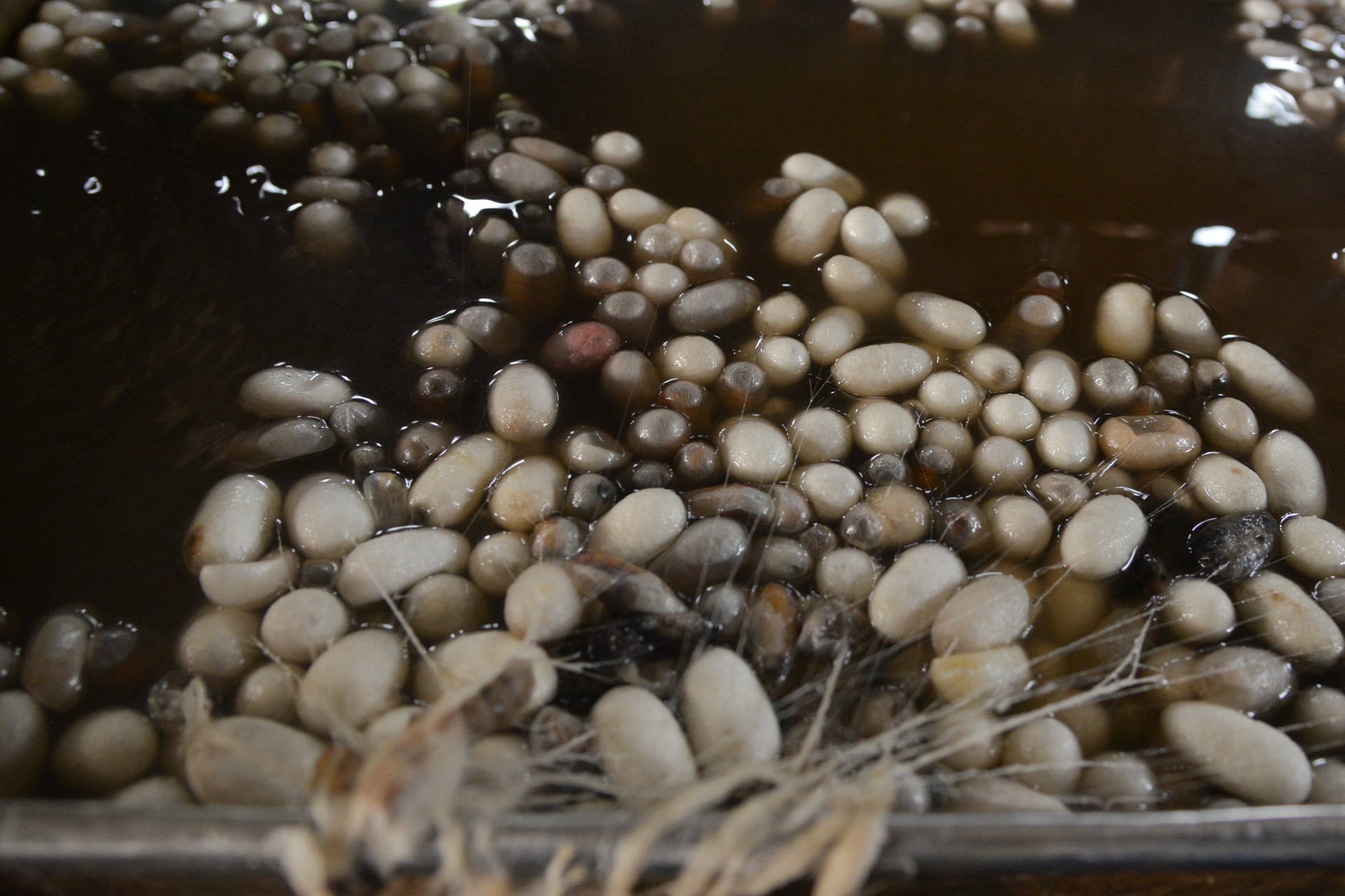 làng lụa Nha Xá ảnh 9 lang lua Nha Xa anh 9