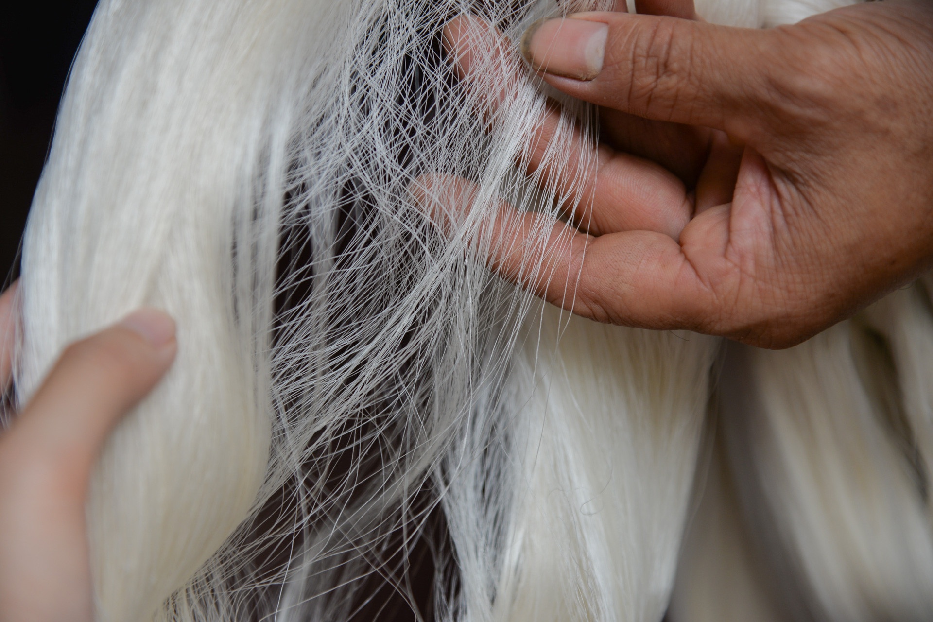 làng lụa Nha Xá ảnh 12 lang lua Nha Xa anh 12