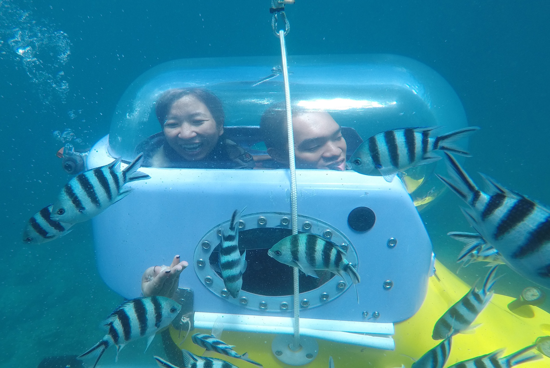 Chi 150 USD de lai tau luon duoi day dai duong hinh anh