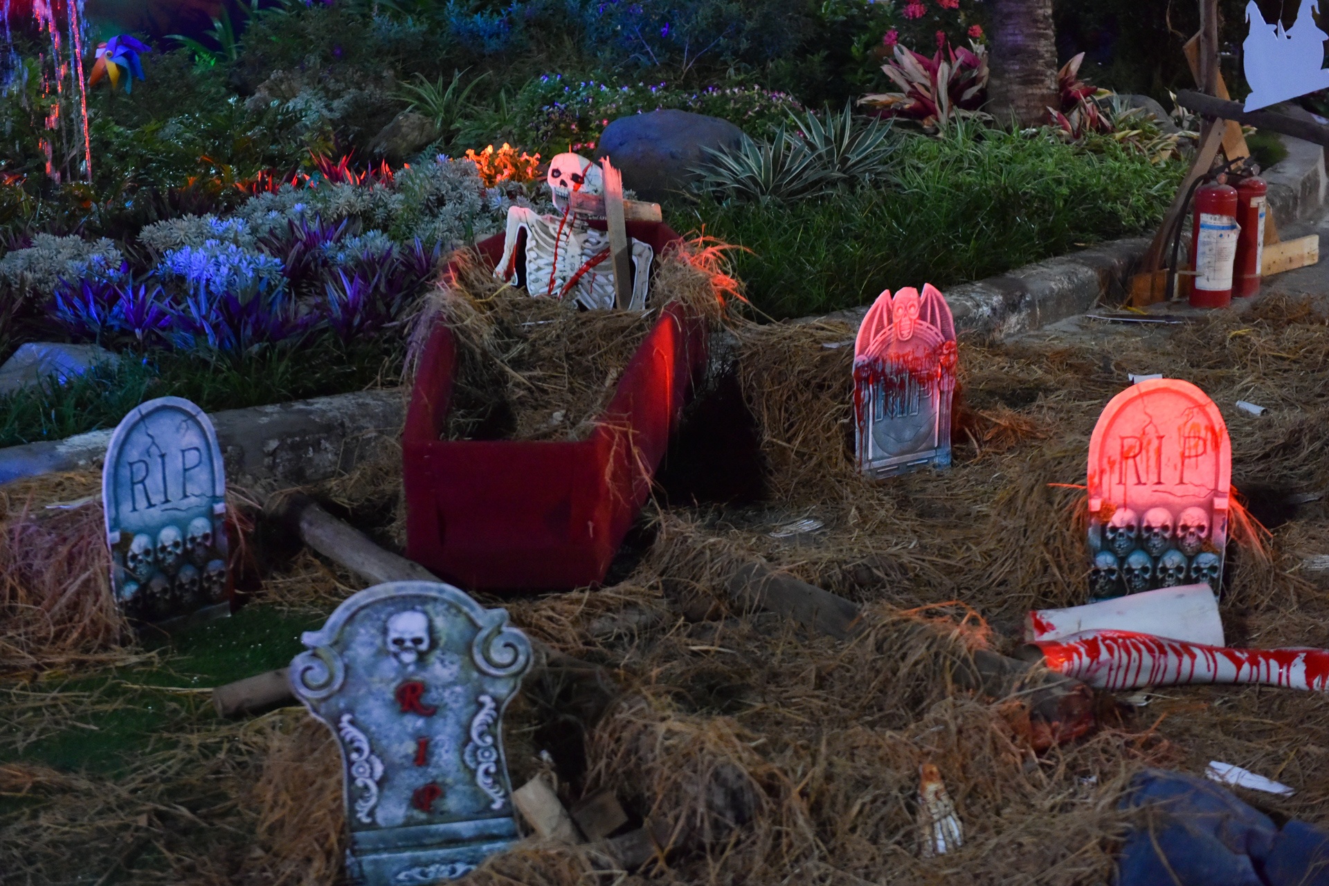 Bien nguoi du Halloween o Sai Gon anh 9