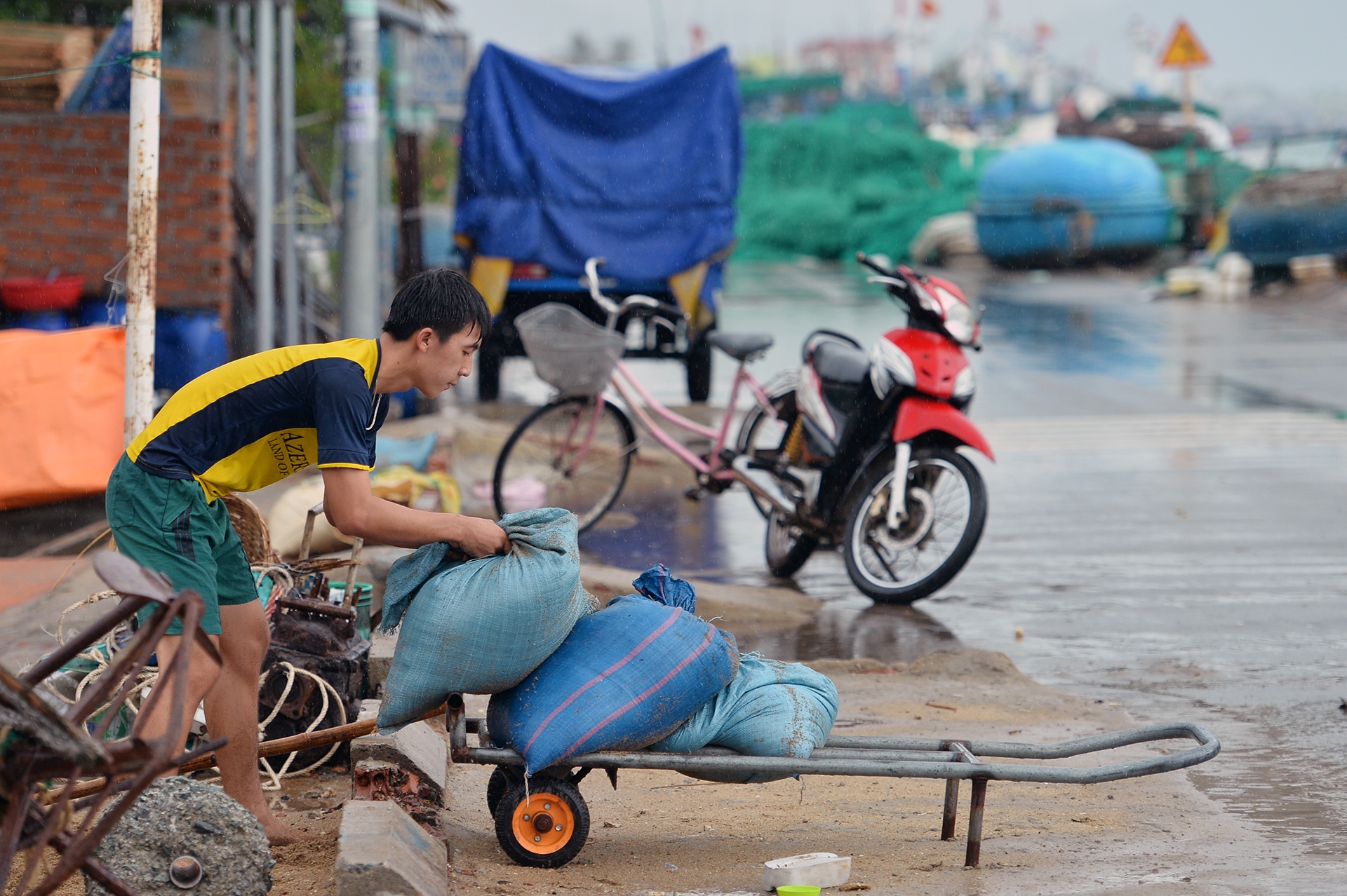 phong chong bao so 12 o Ninh Thuan anh 8