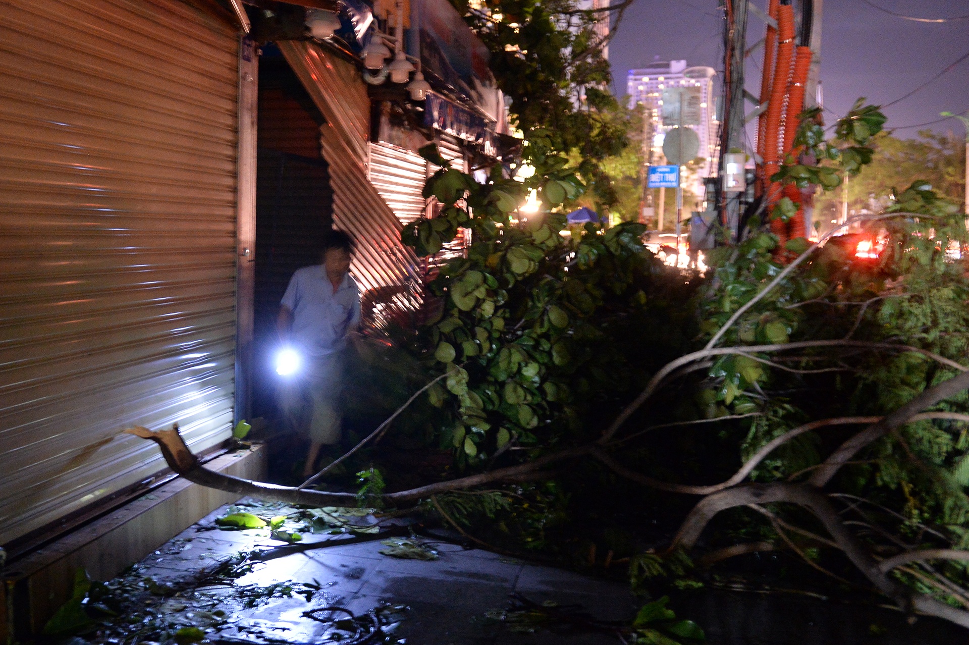 Nha Trang chim trong bong toi anh 8