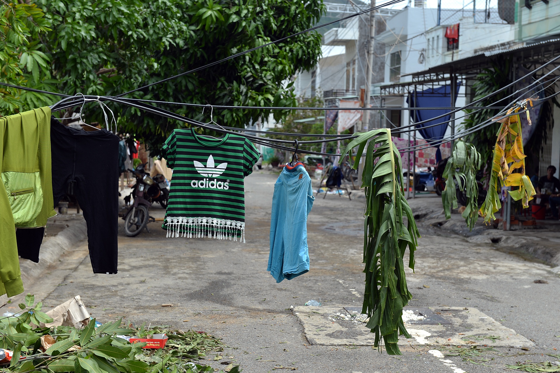 bao so 12 tan pha Nha Trang anh 22