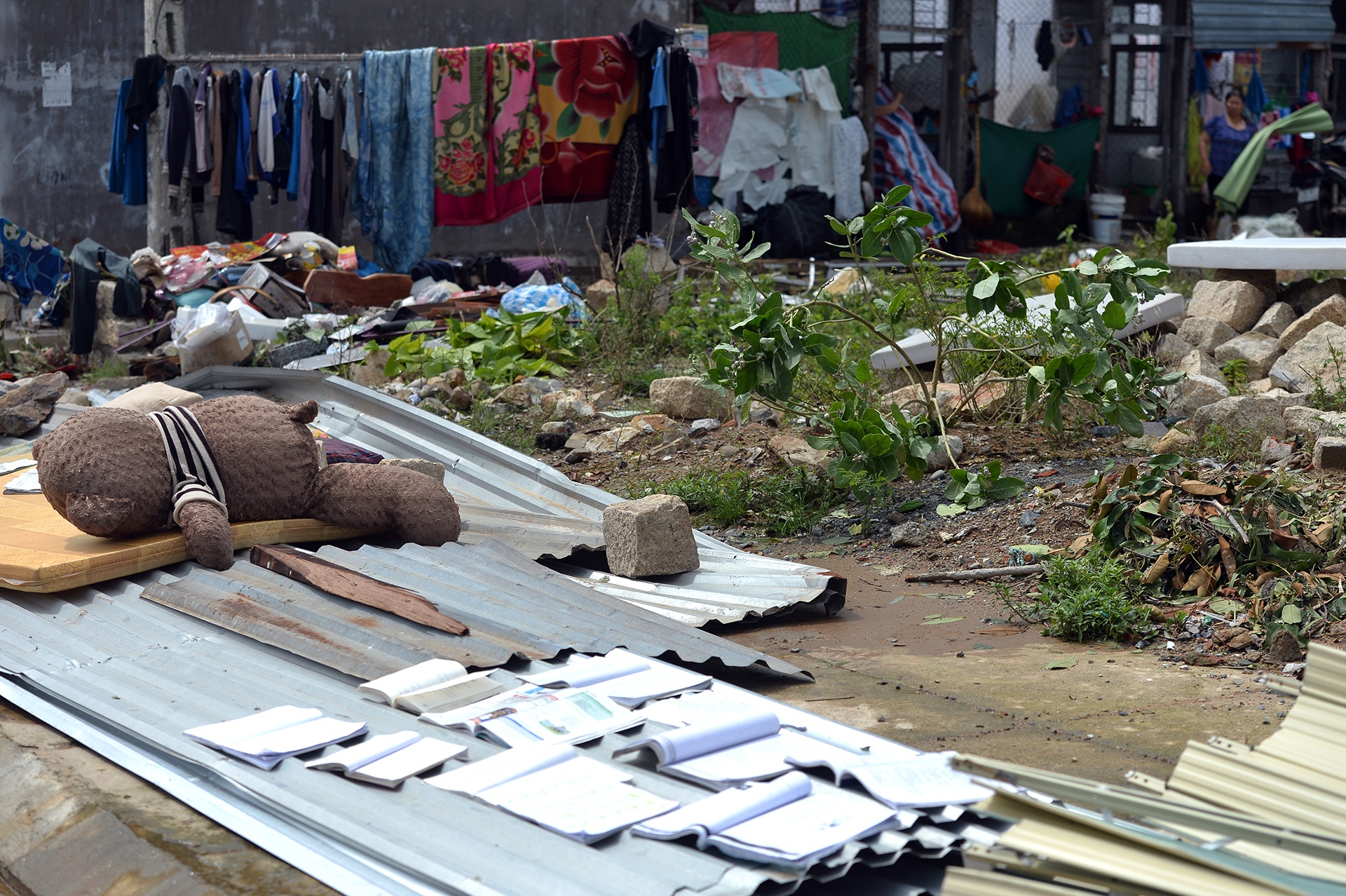 bao so 12 tan pha Nha Trang anh 23