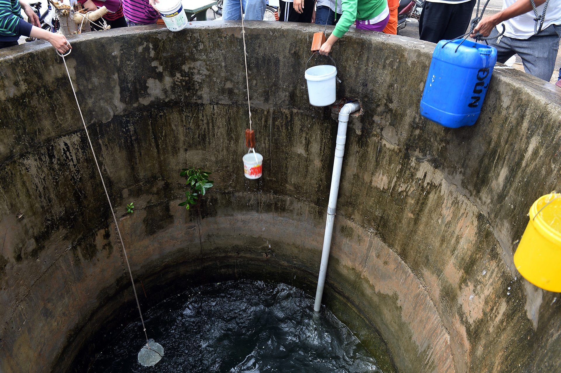 bao so 12 tan pha Nha Trang anh 8