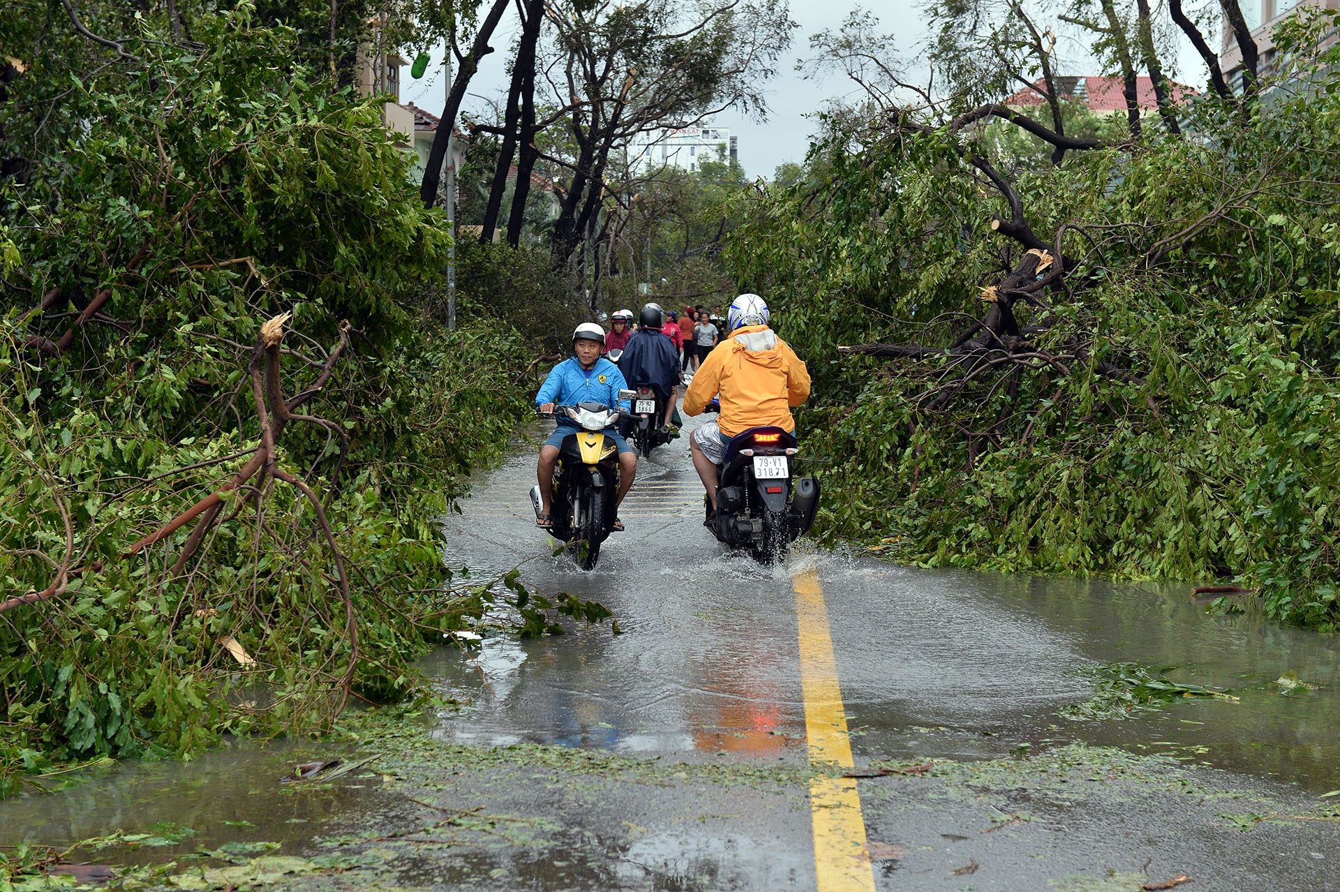 bao Damrey gay thiet hai lich su o Nha Trang anh 8