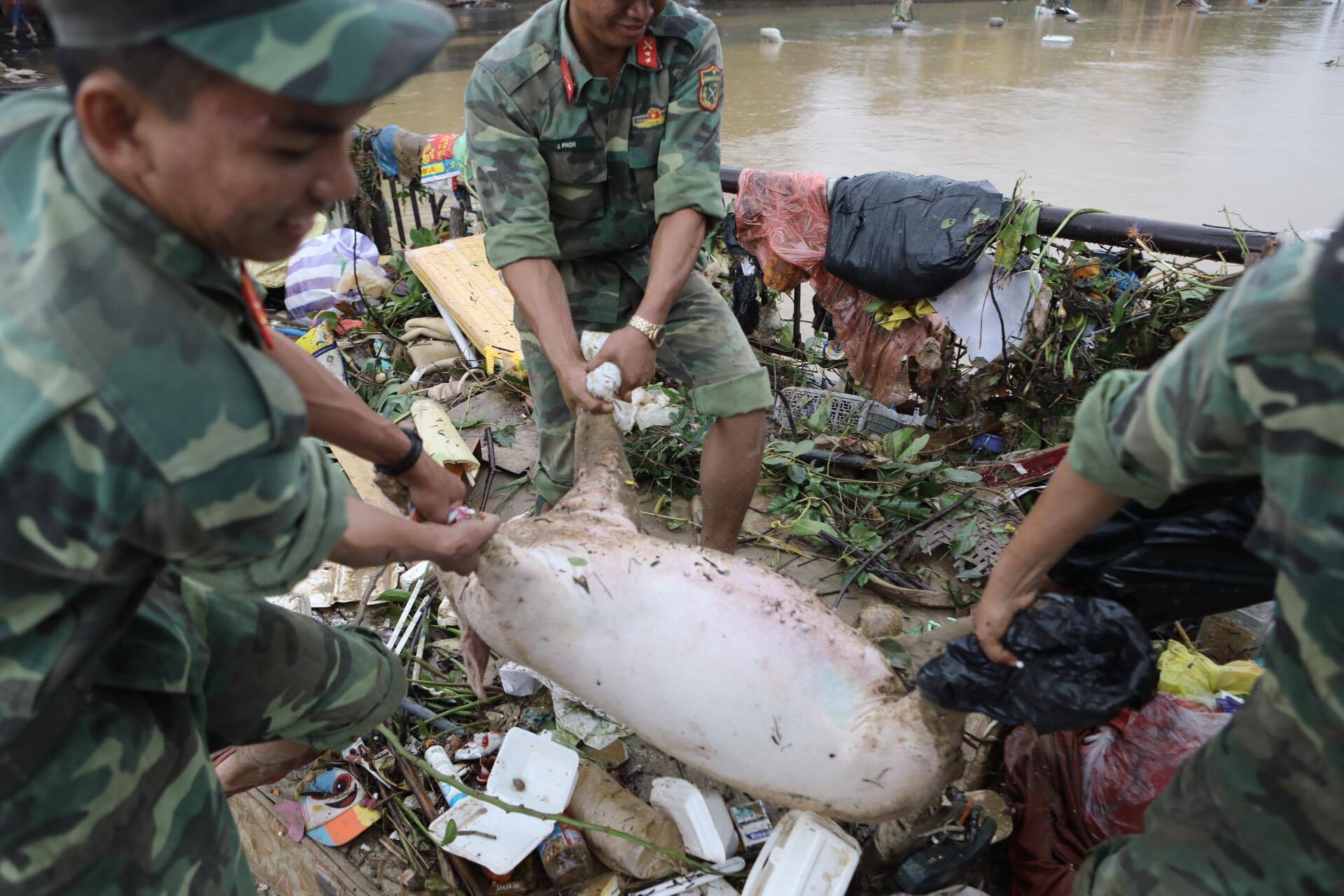Người dân hội an dọn lũ ảnh 4 Nguoi dan hoi an don lu anh 4