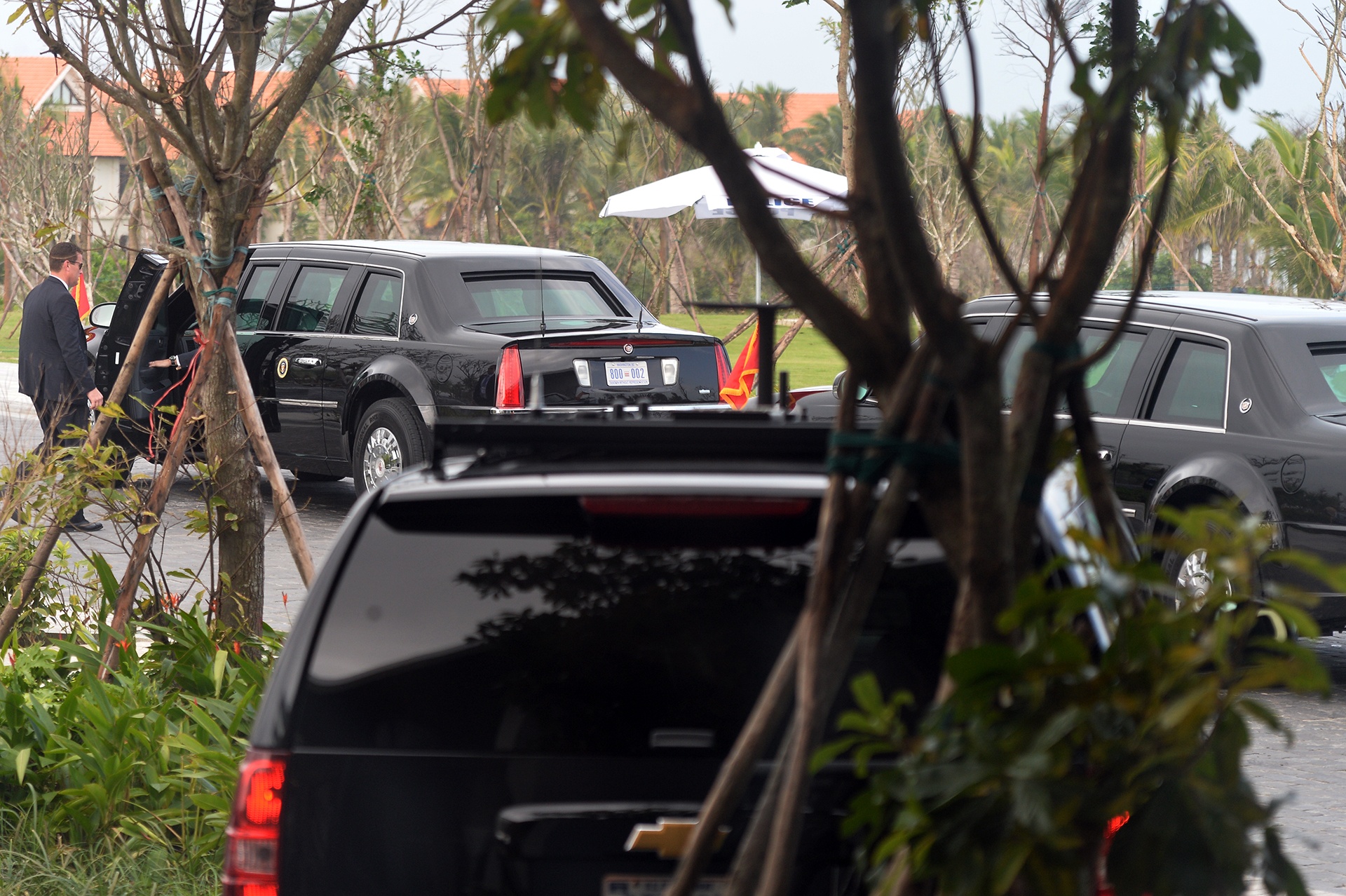 Can canh mat vu My anh 2