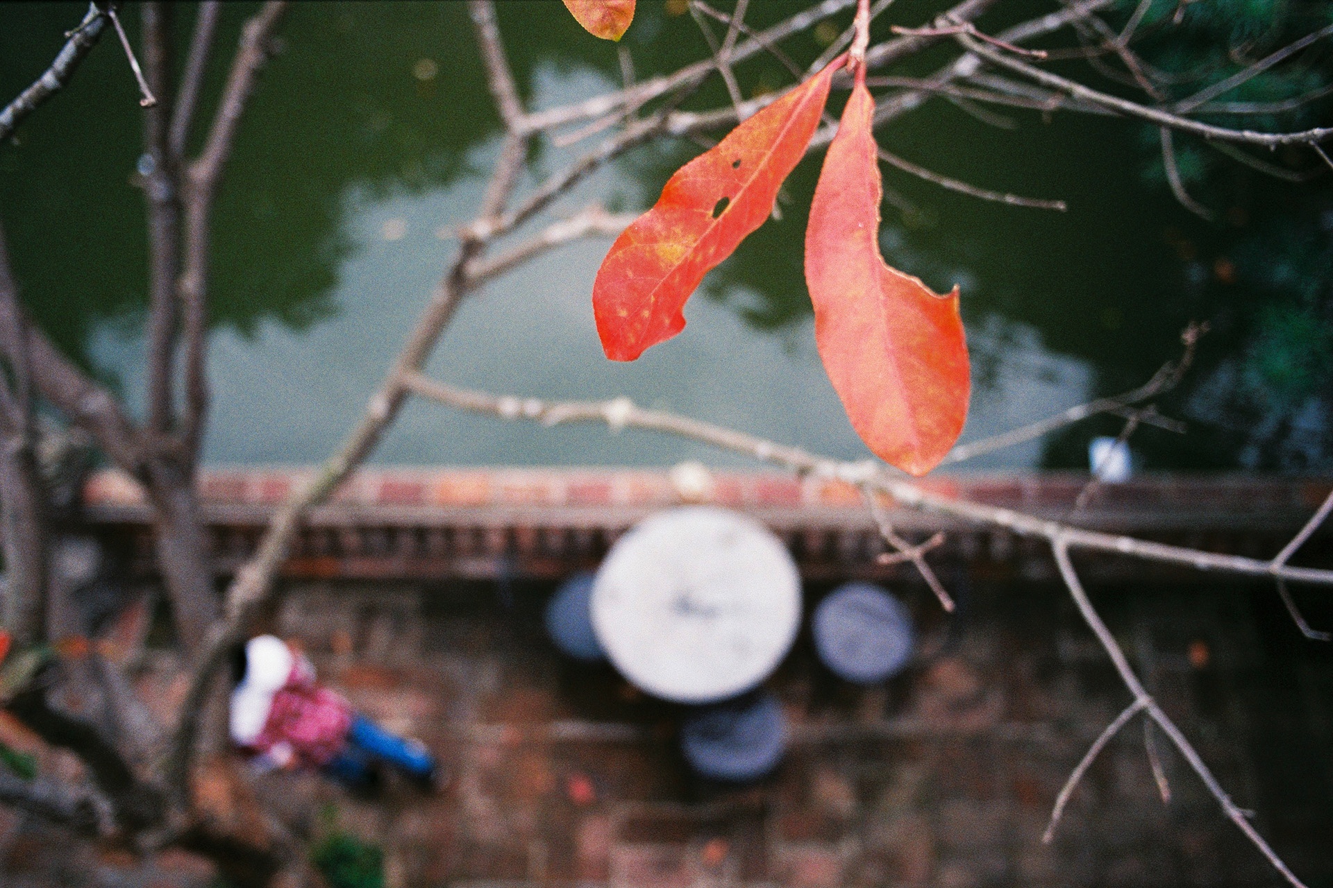 Khoanh khac dep ve mua dong Ha Noi hinh anh