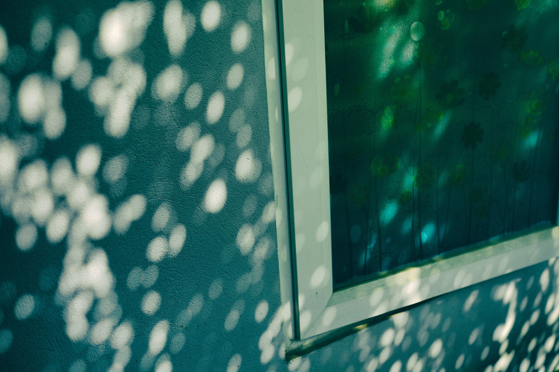 mua dong Ha Noi anh 9